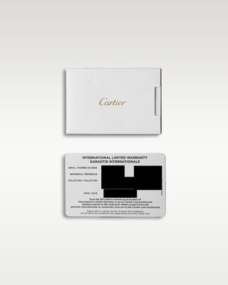 Cartier Santos Adlc WSSA0037
