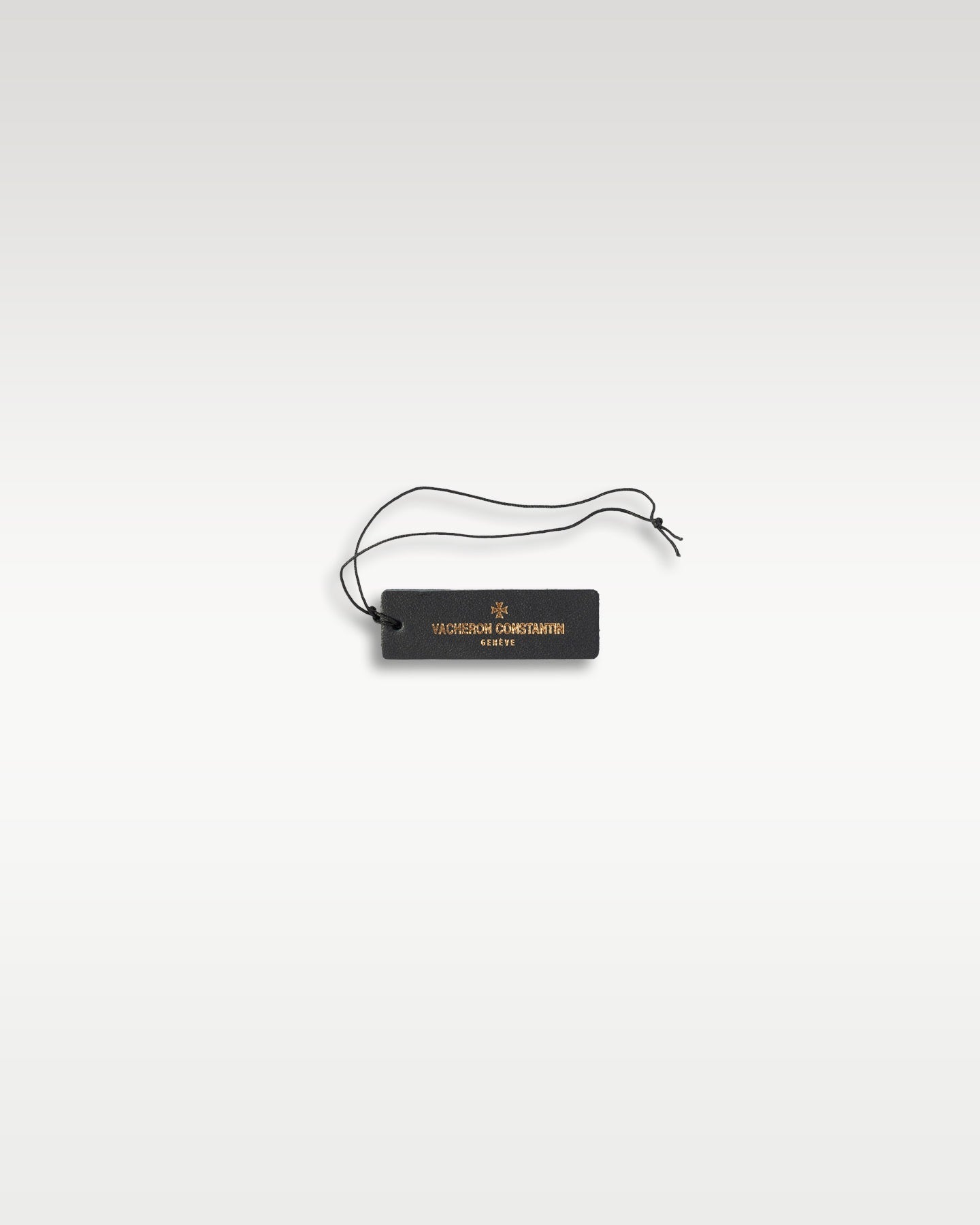 Vacheron Constantin Overseas 4500V/110R-B705