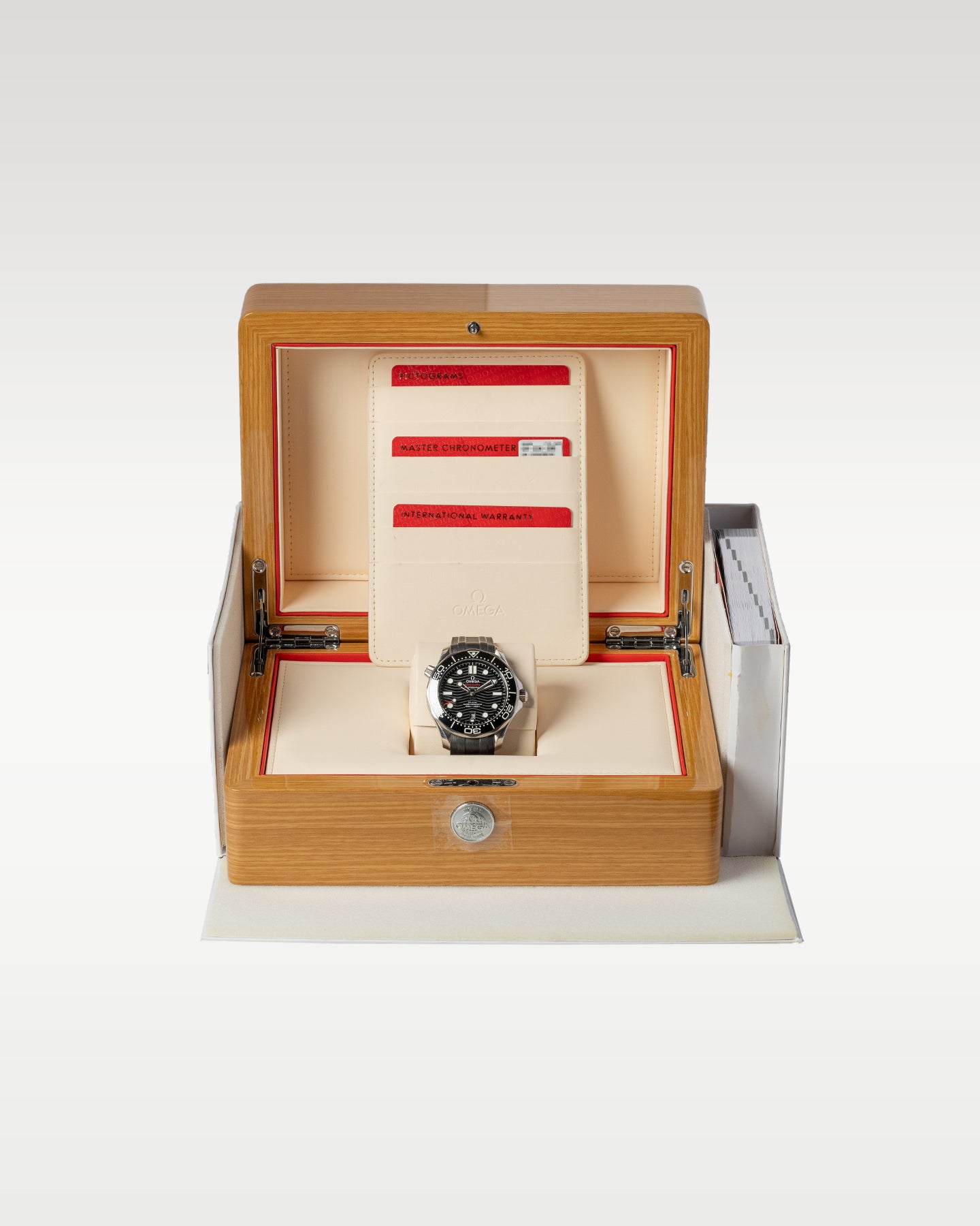 Omega Seamaster 210.32.42.20.01.001