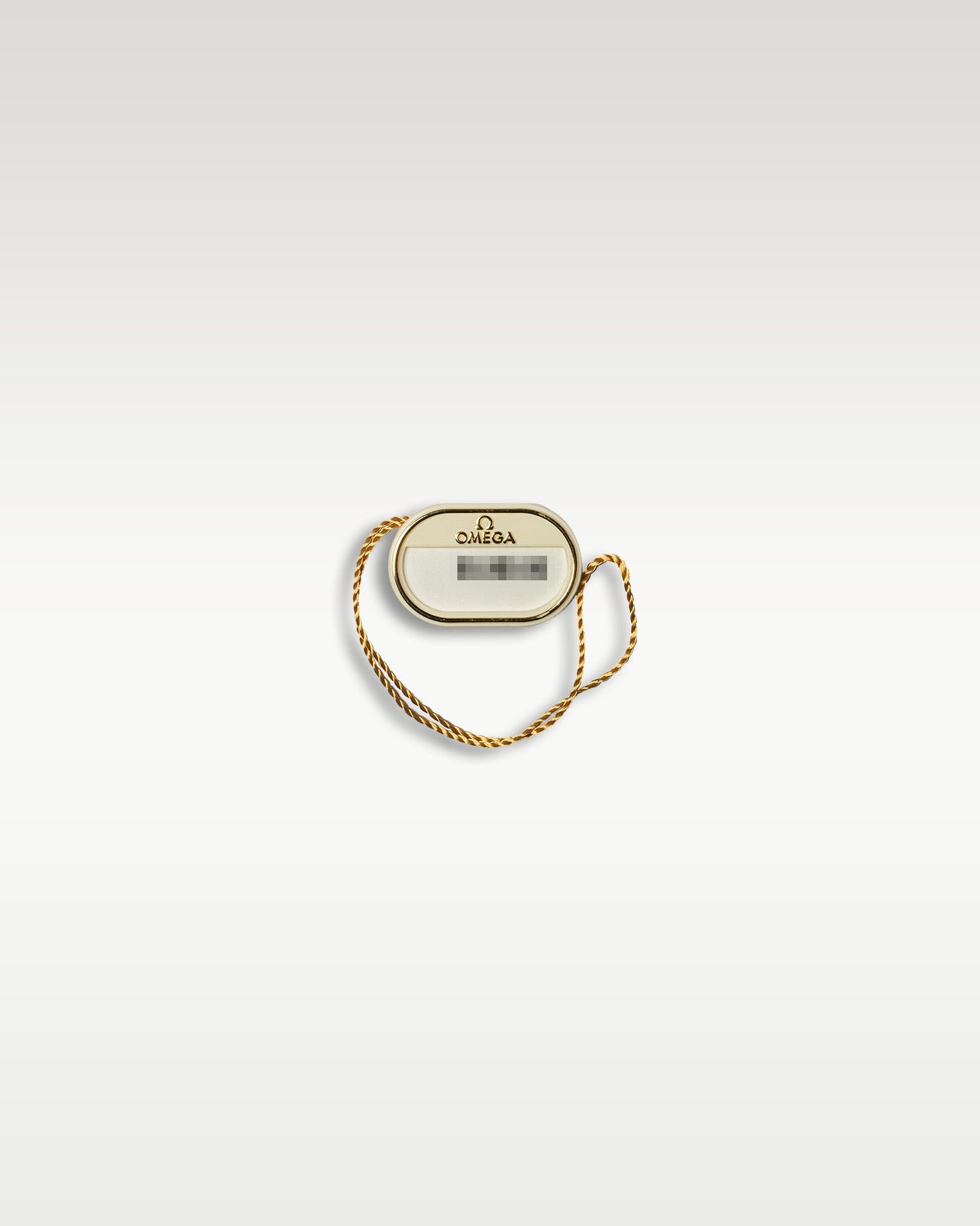 Omega Aquaterra 22010412110001