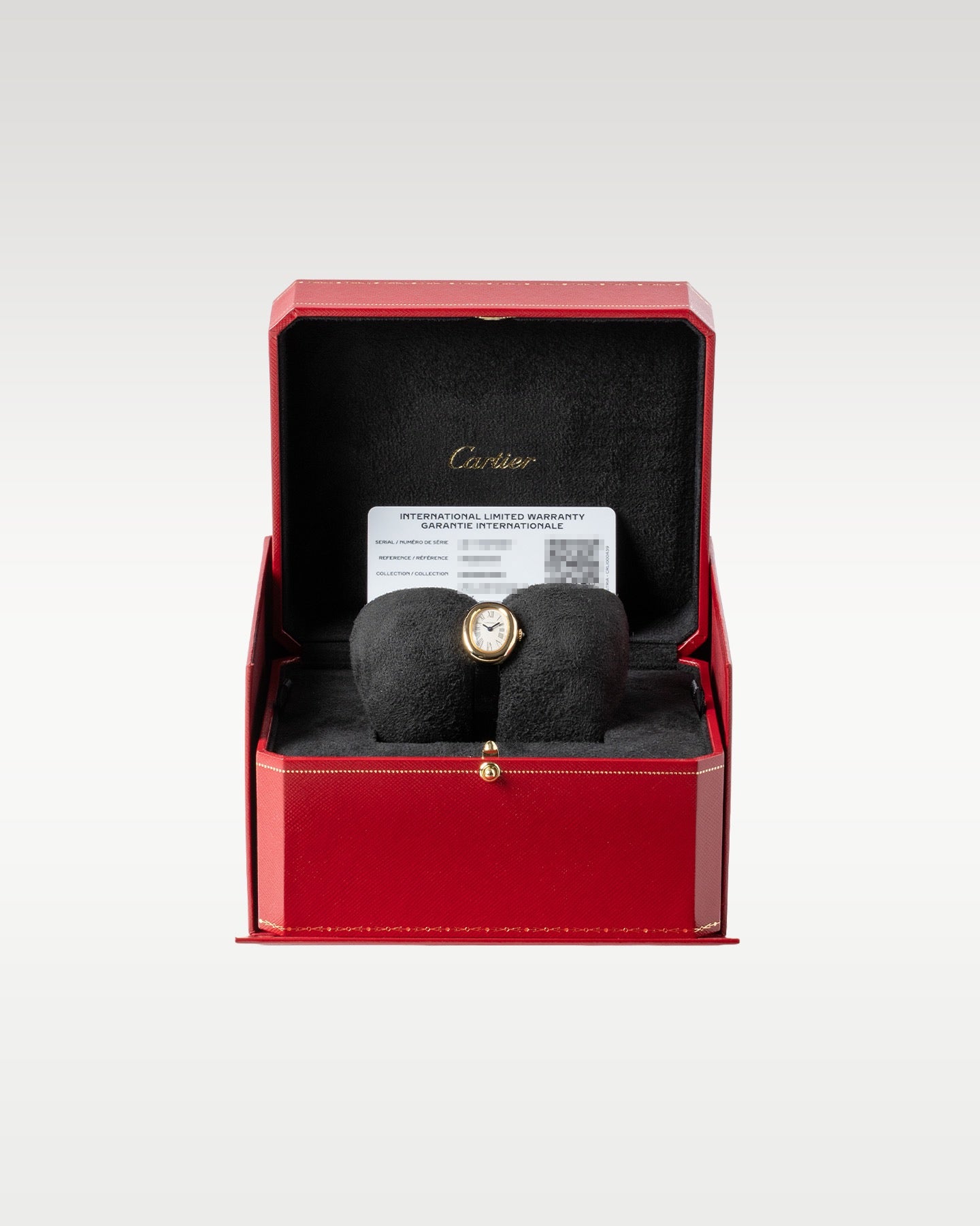 Cartier Baignoire WGBA0041