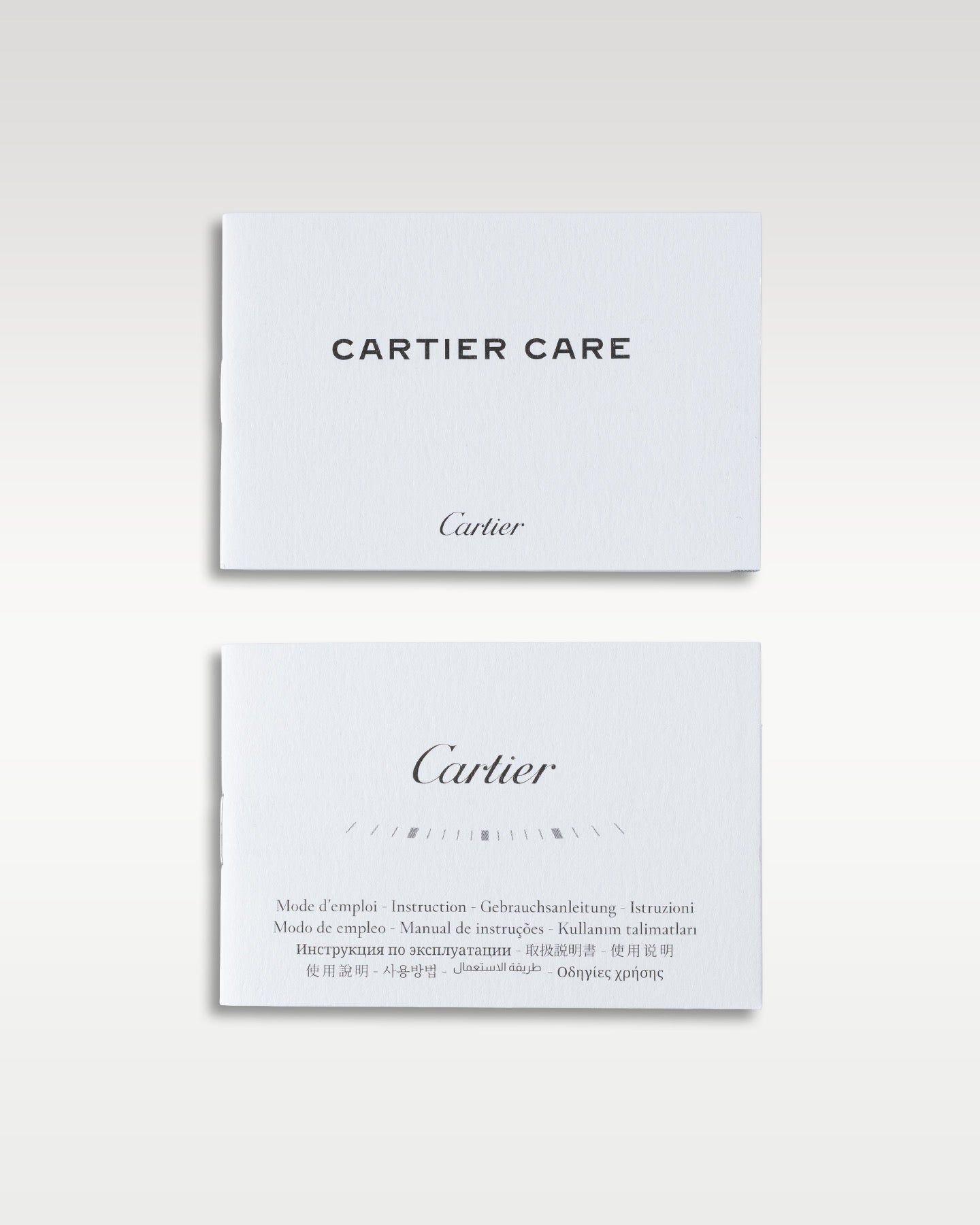 Medium Model Blue Cartier Santos de Cartier WSSA0063 | Grand Caliber Watches