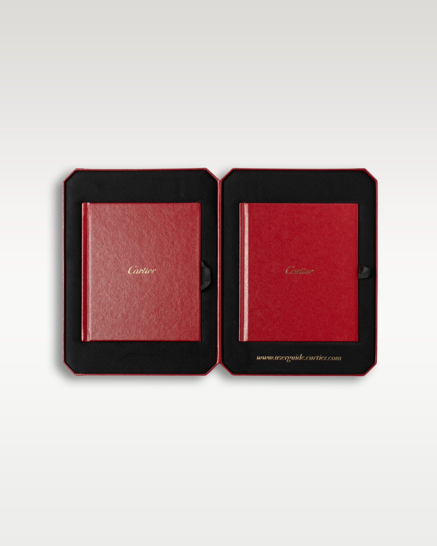 31mm Cartier Santos Dumont WHSA0032 La Demoiselle Skeleton Dial Watch