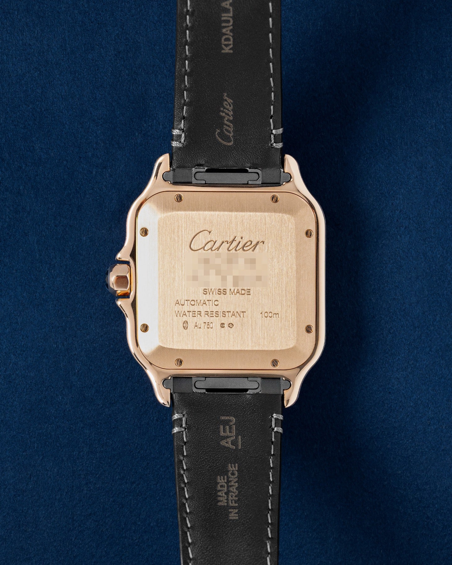 Large Mode Cartier Santos De Cartier WGSA0019 | Grand Caliber Dallas