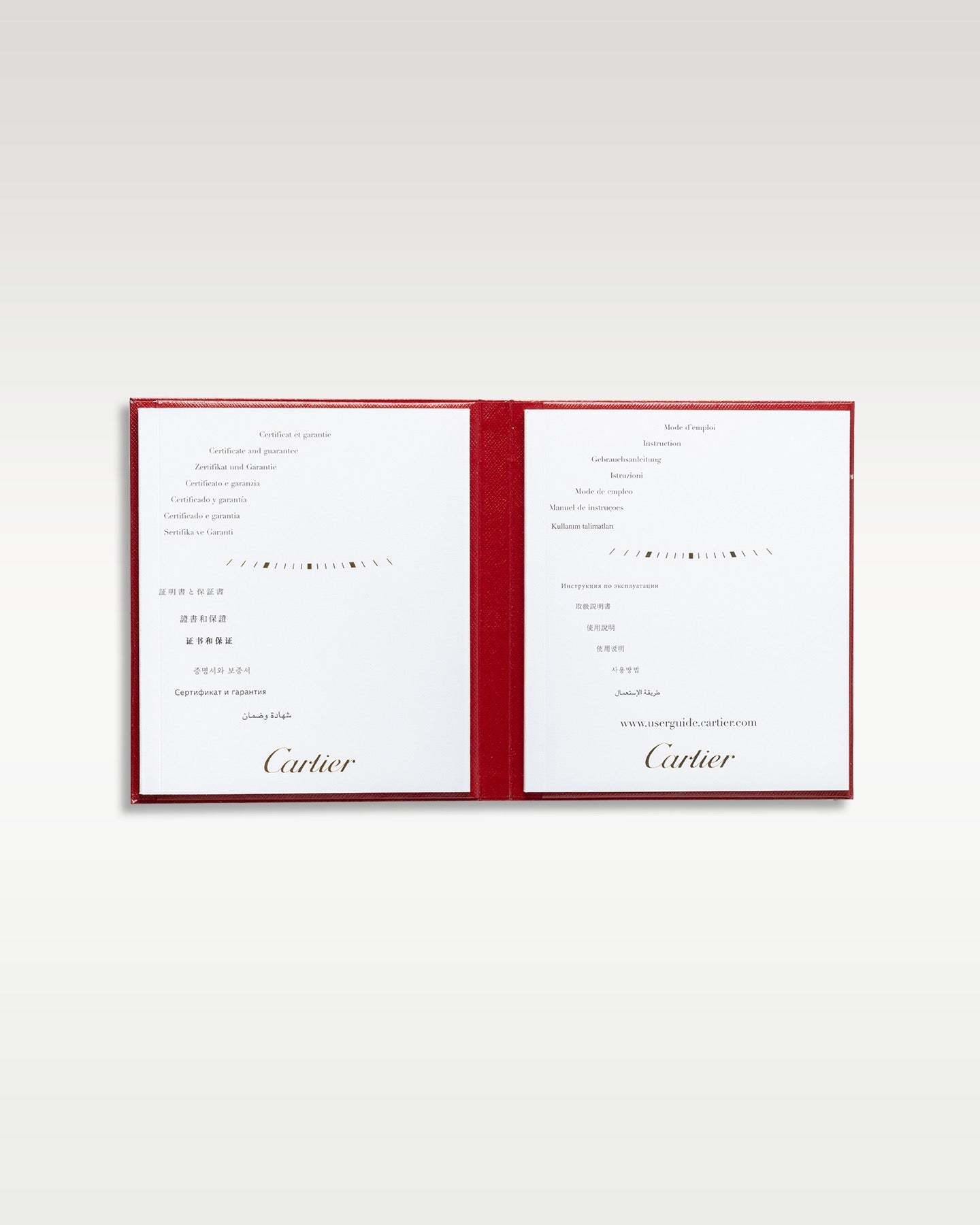 Cartier Santos De Cartier WSSA0029