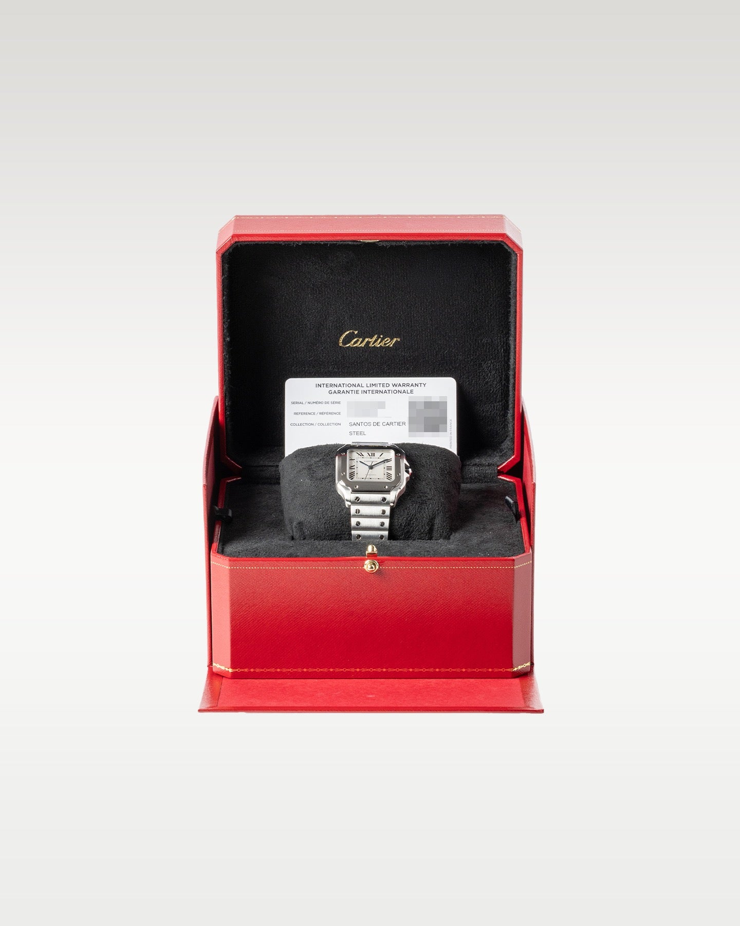 Cartier Santos De Cartier WSSA0029