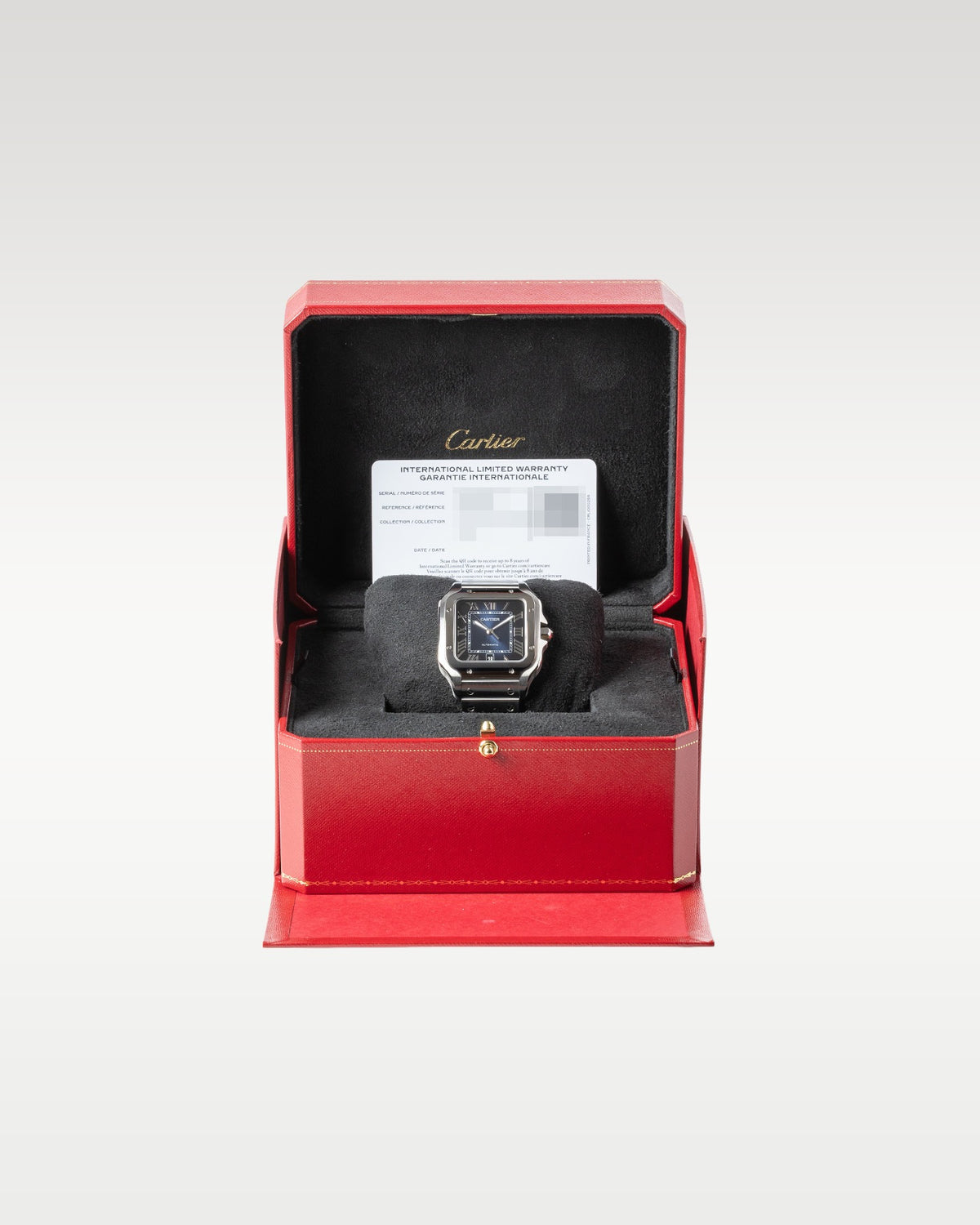 Cartier, Santos De Cartier, WSSA0030 | Grand Caliber