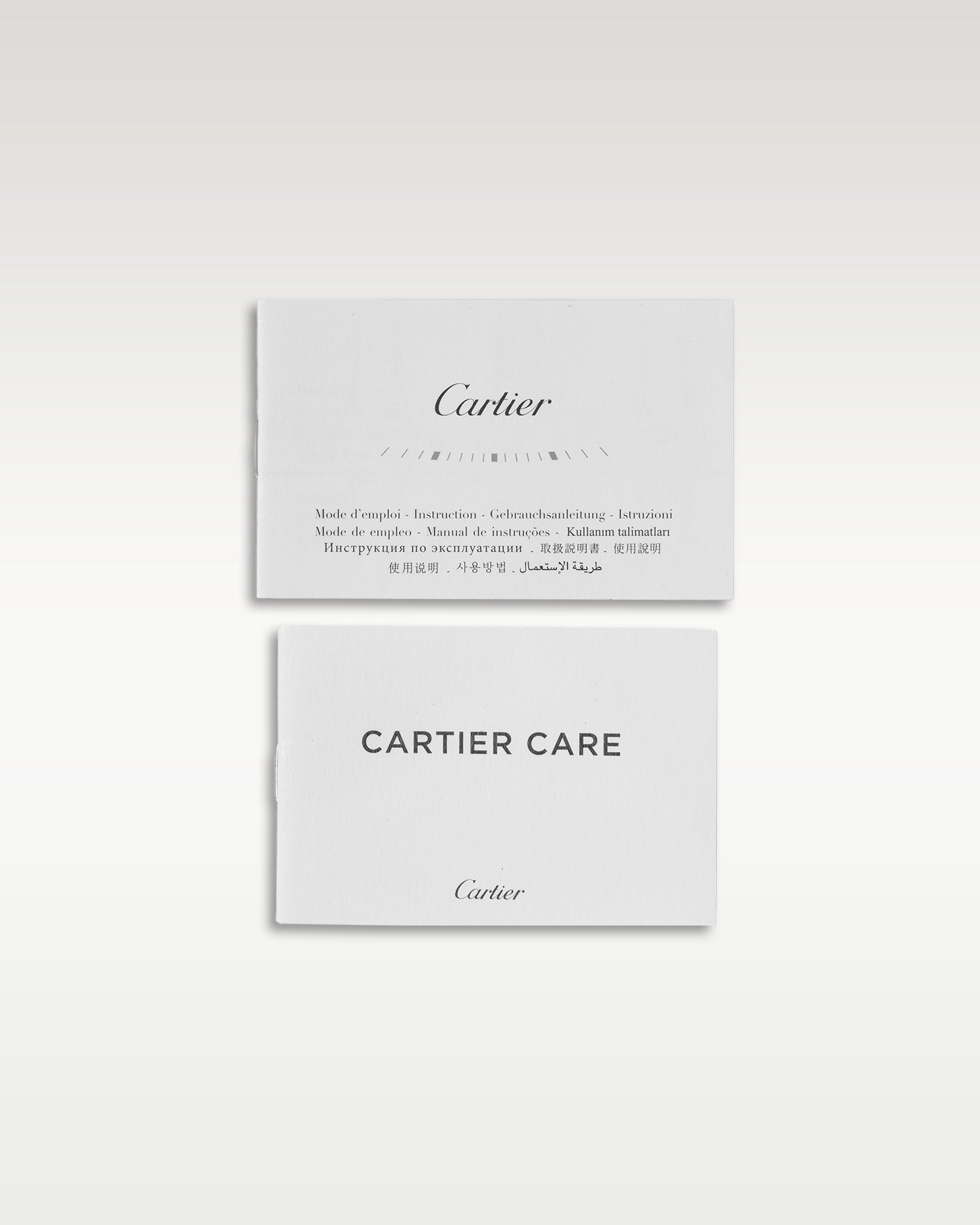 Steel Blue Santos De Cartier WSSA0030 Cartier Watch | Grand Caliber Dallas