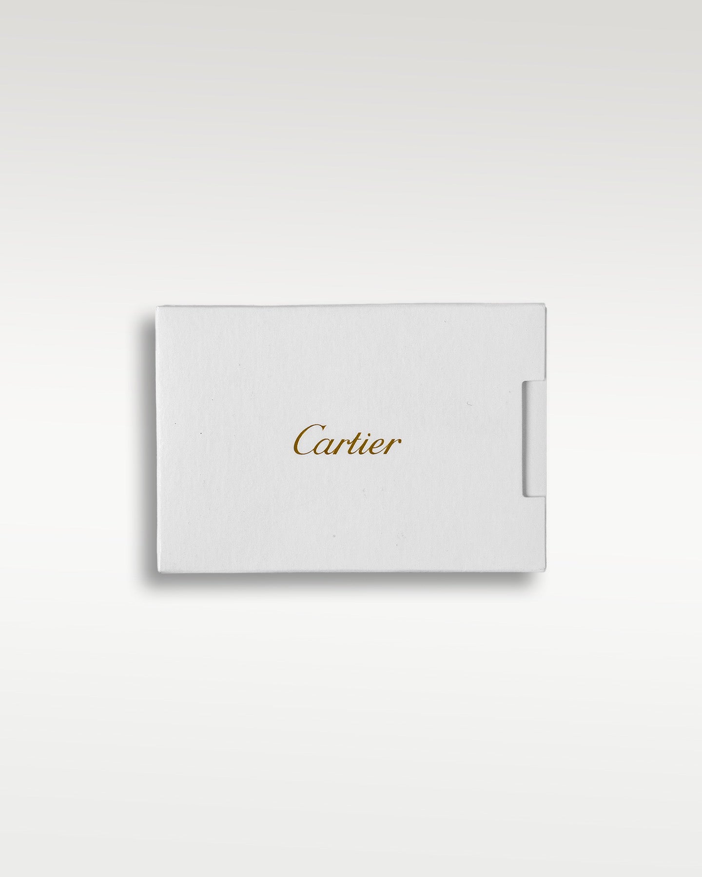 Cartier Santos Dumont W2SA0011