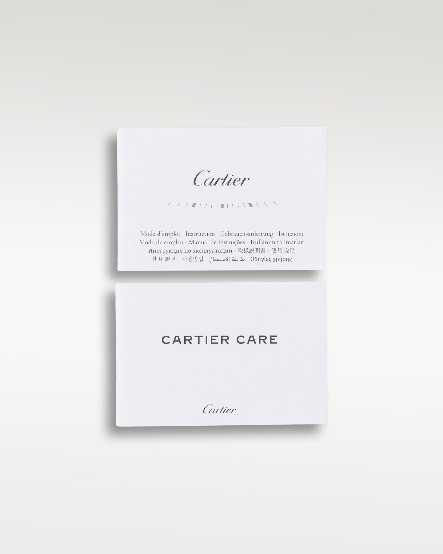 Cartier Santos Dumont W2SA0011