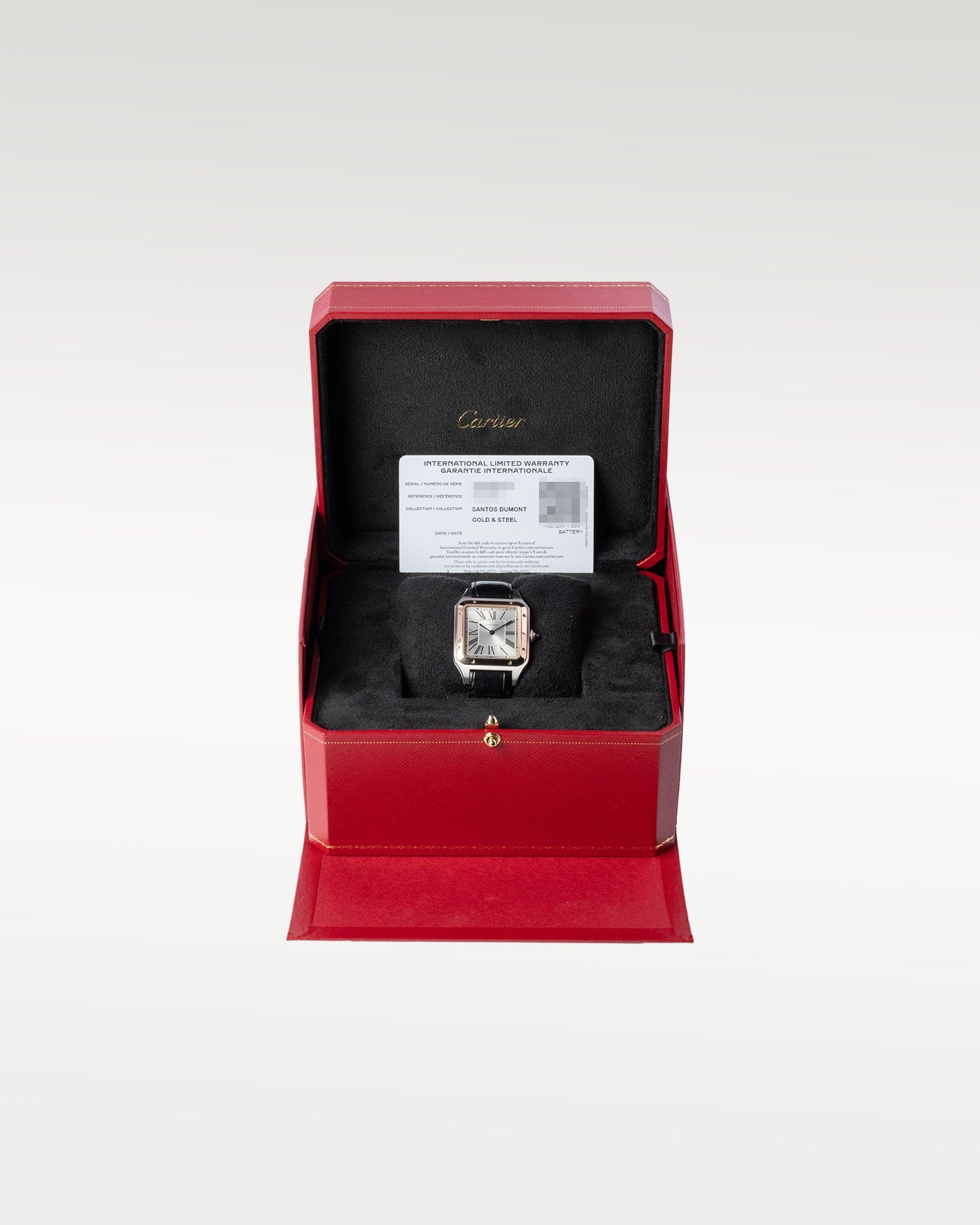 Cartier Santos Dumont W2SA0011