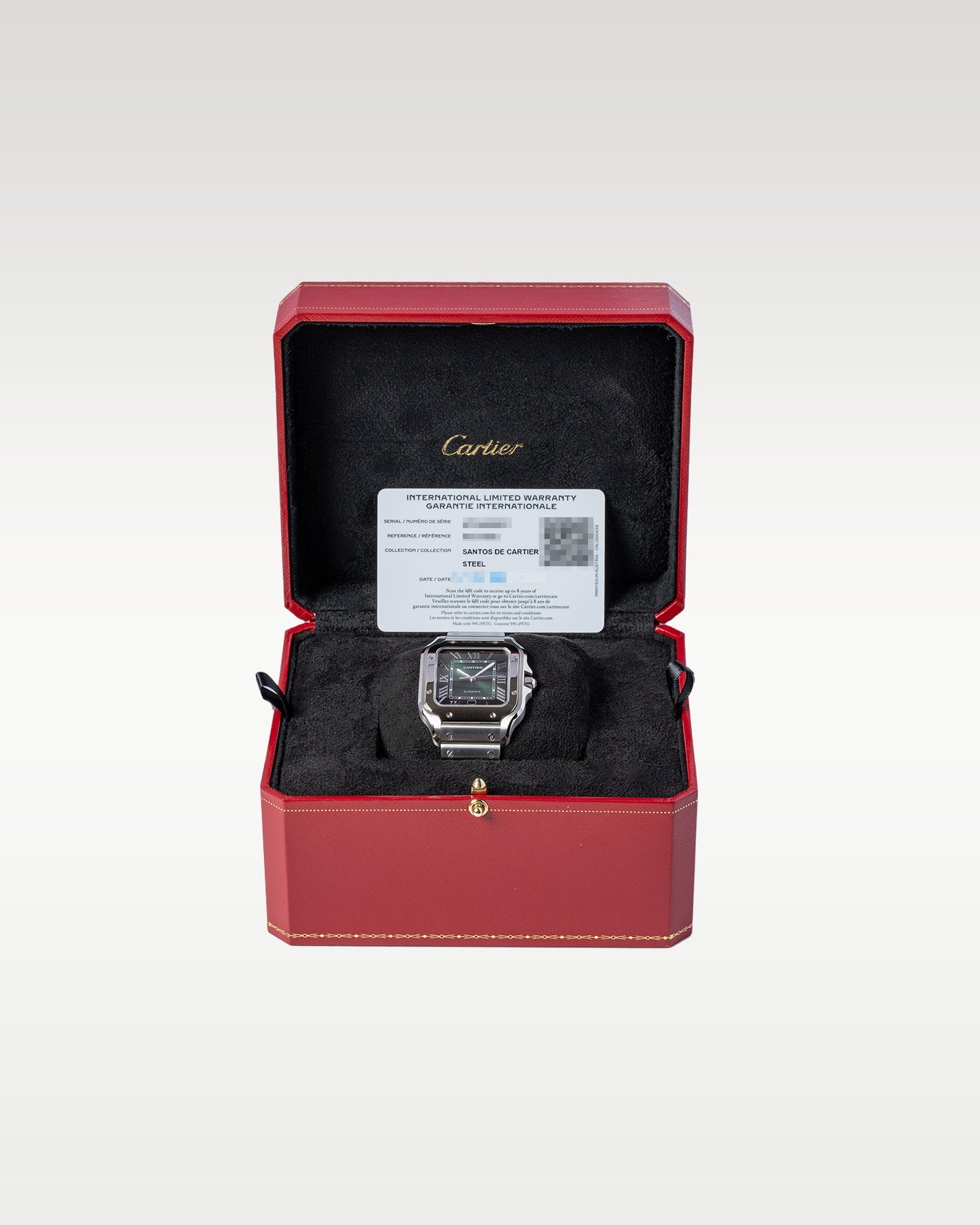 Cartier Santos Large WSSA0062
