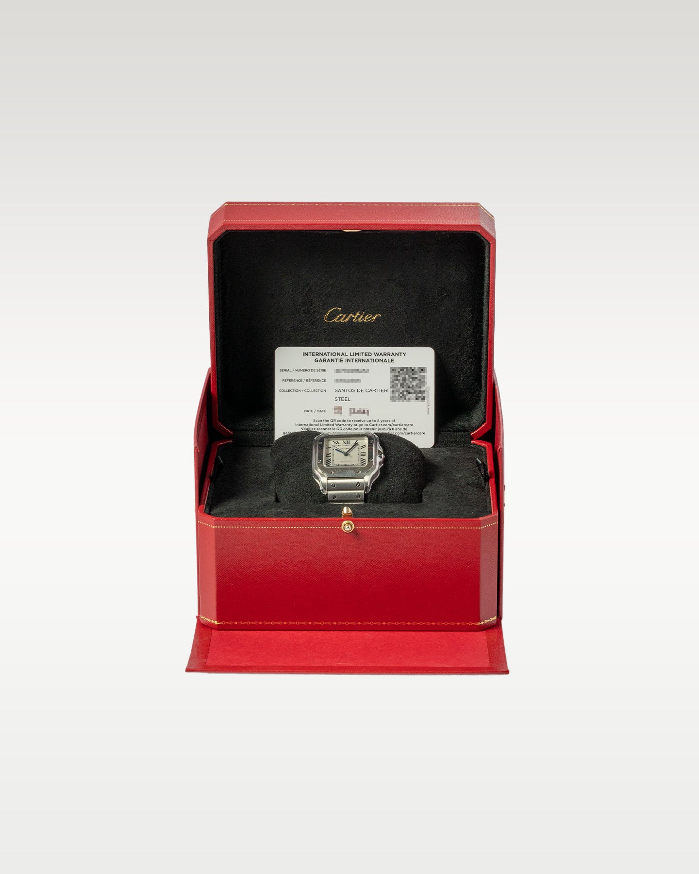 Cartier Santos Stainless Steel WSSA0029