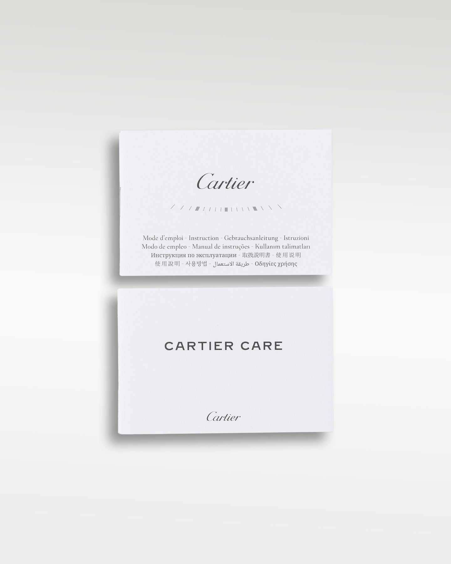 Cartier Santos de Cartier WSSA0018