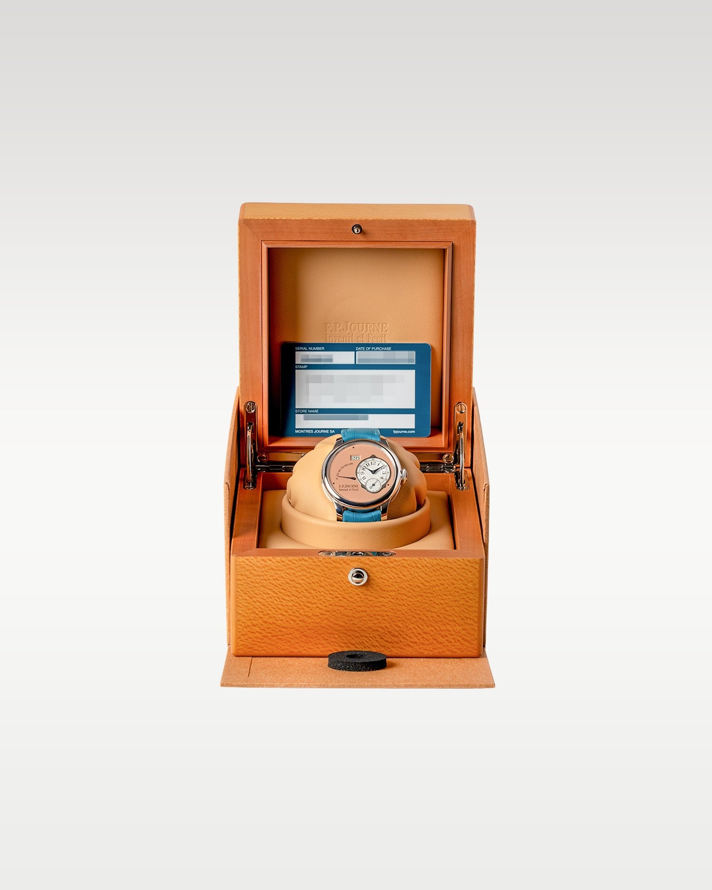 Platinum F.P.Journe Octa Automatique AN | Grand Caliber Watches