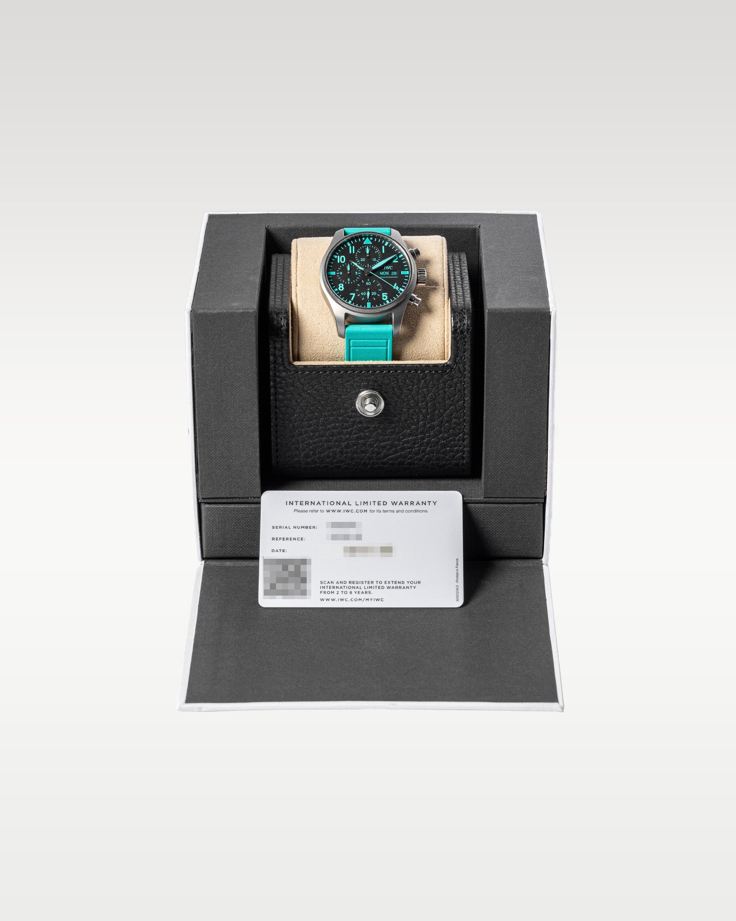 Titanium IWC Pilot Chronograph Petronas AMG F1 IW388108 Watch | Grand Caliber