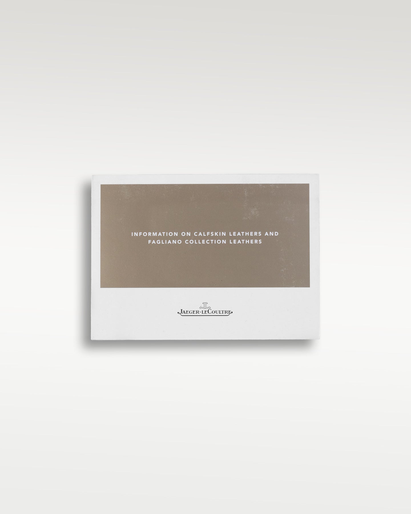 2021 Steel Reverso Q2438522 Jaeger LeCoultre Watch | Grand Caliber Dallas