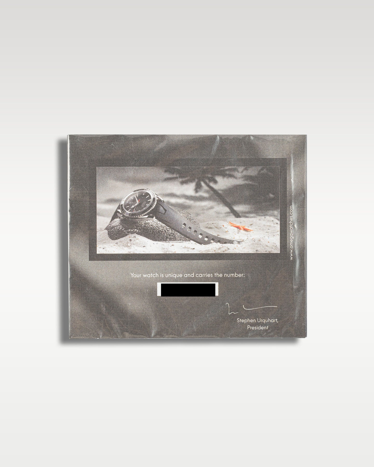 Omega Planet Ocean (James Bond) 29075091