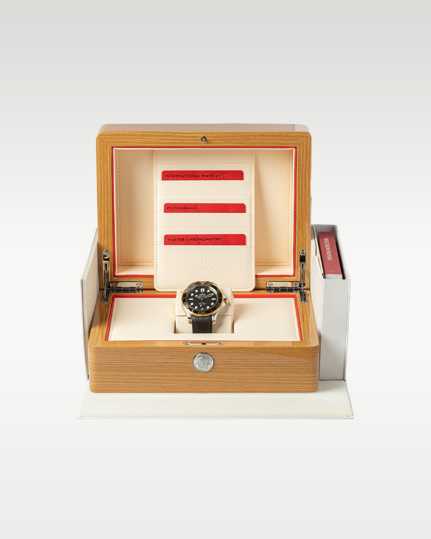 Omega Seamaster 210.22.42.20.01.001