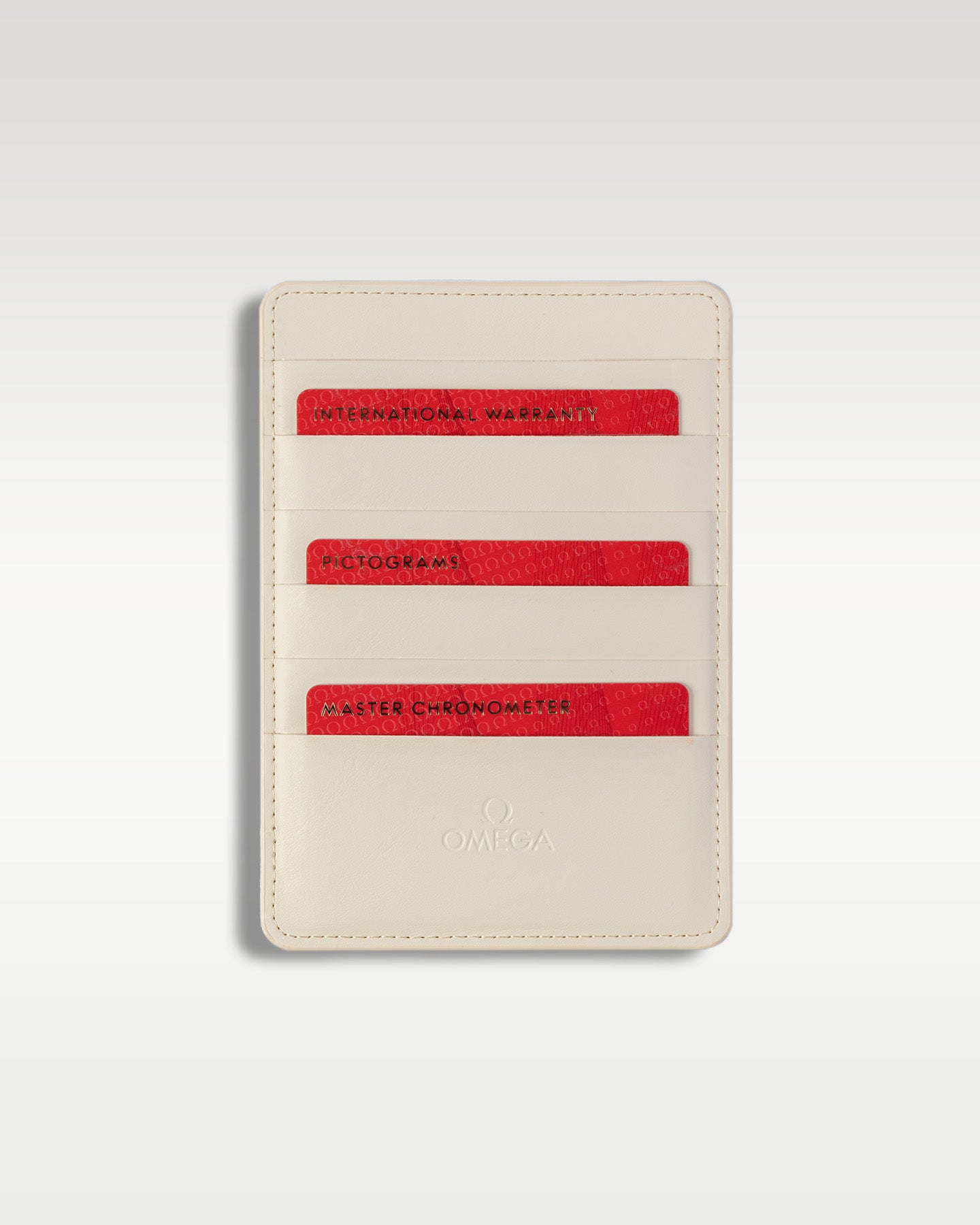 Omega Seamaster 210.22.42.20.01.001