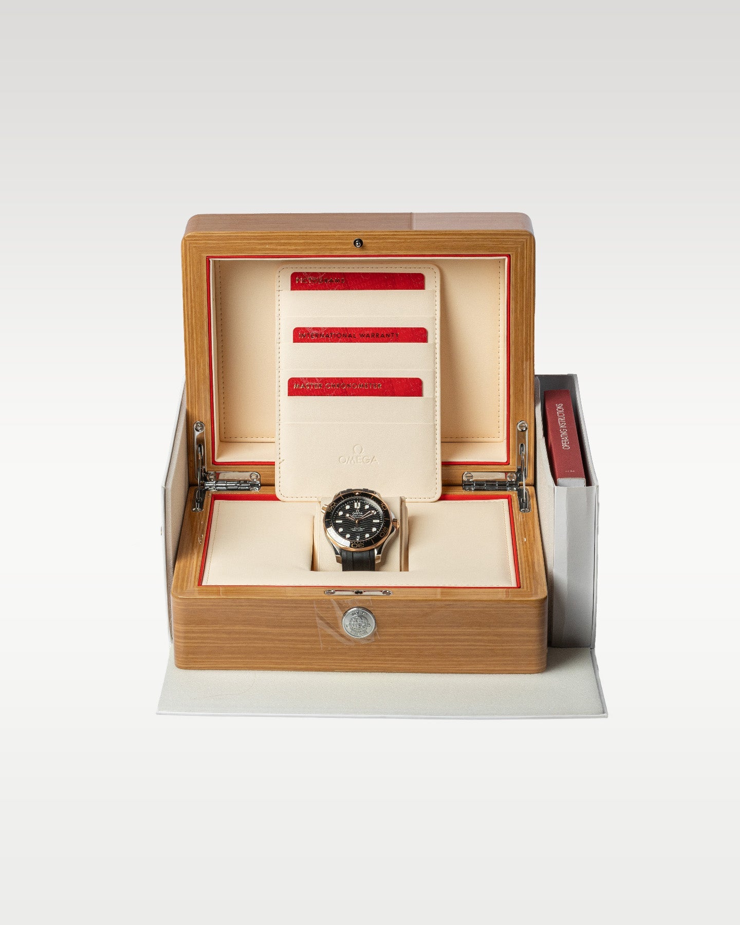 Omega Seamaster 210.22.42.20.01.002