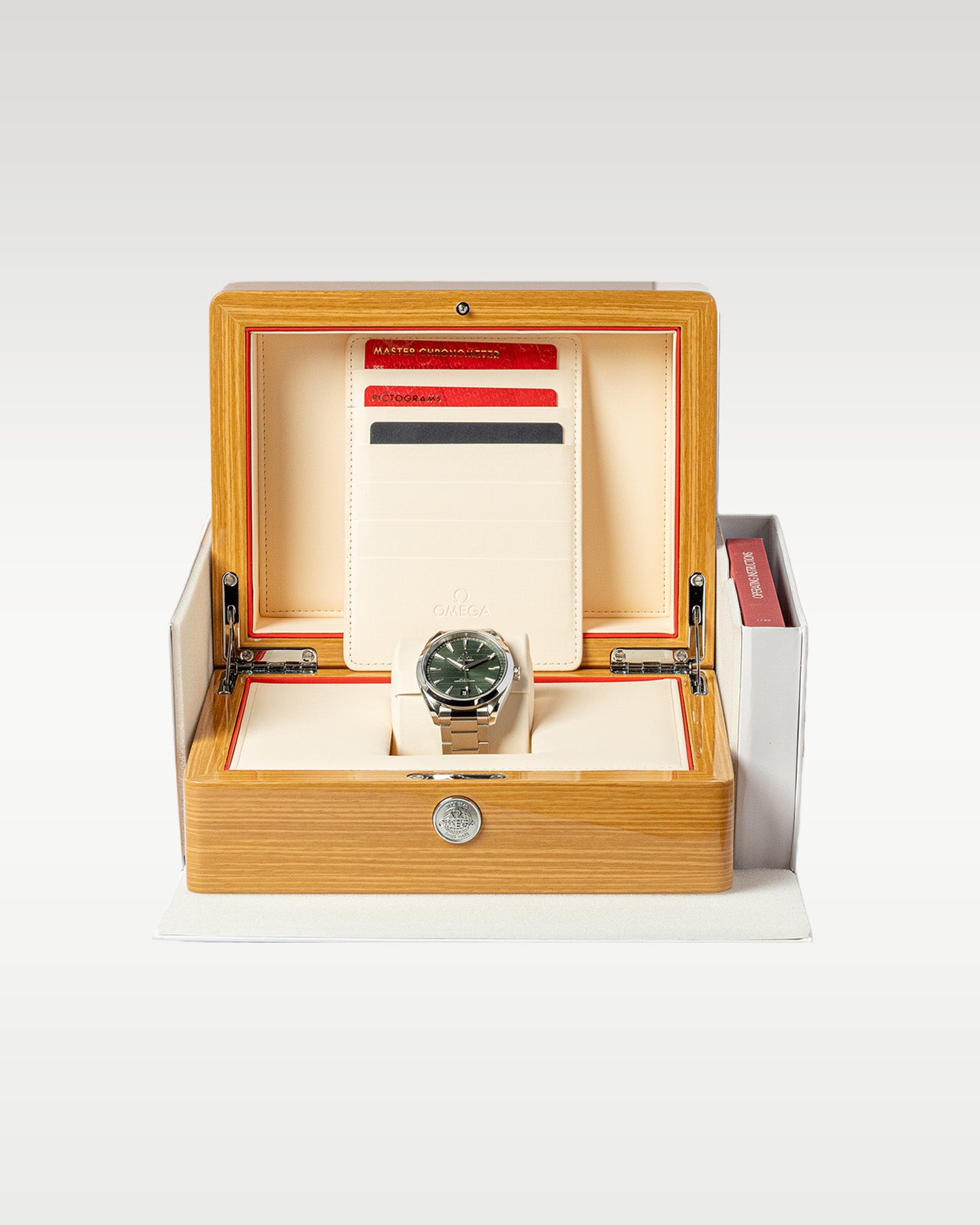 Omega Seamaster 220.10.41.21.10.001