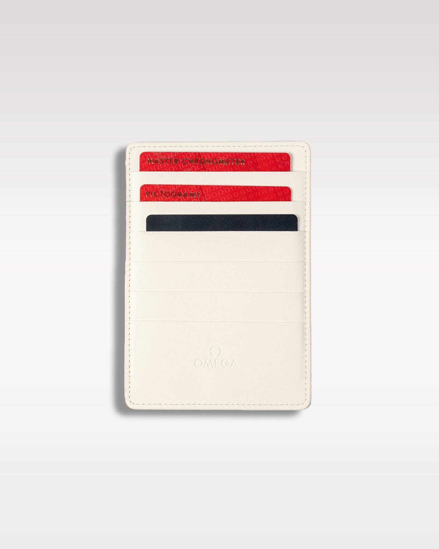 Omega Seamaster 220.10.41.21.10.001