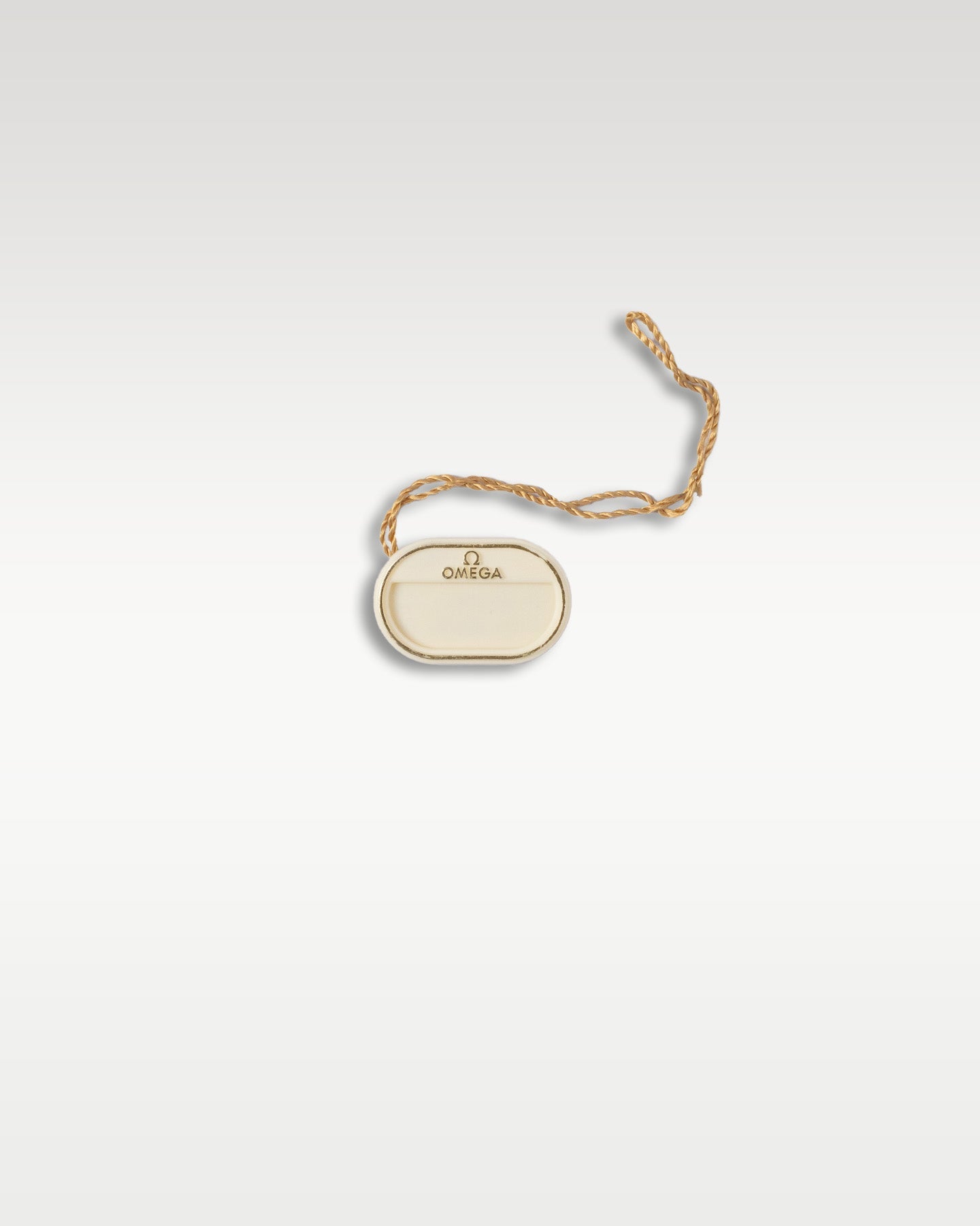 Omega Seamaster 300 210.30.44.51.03.001