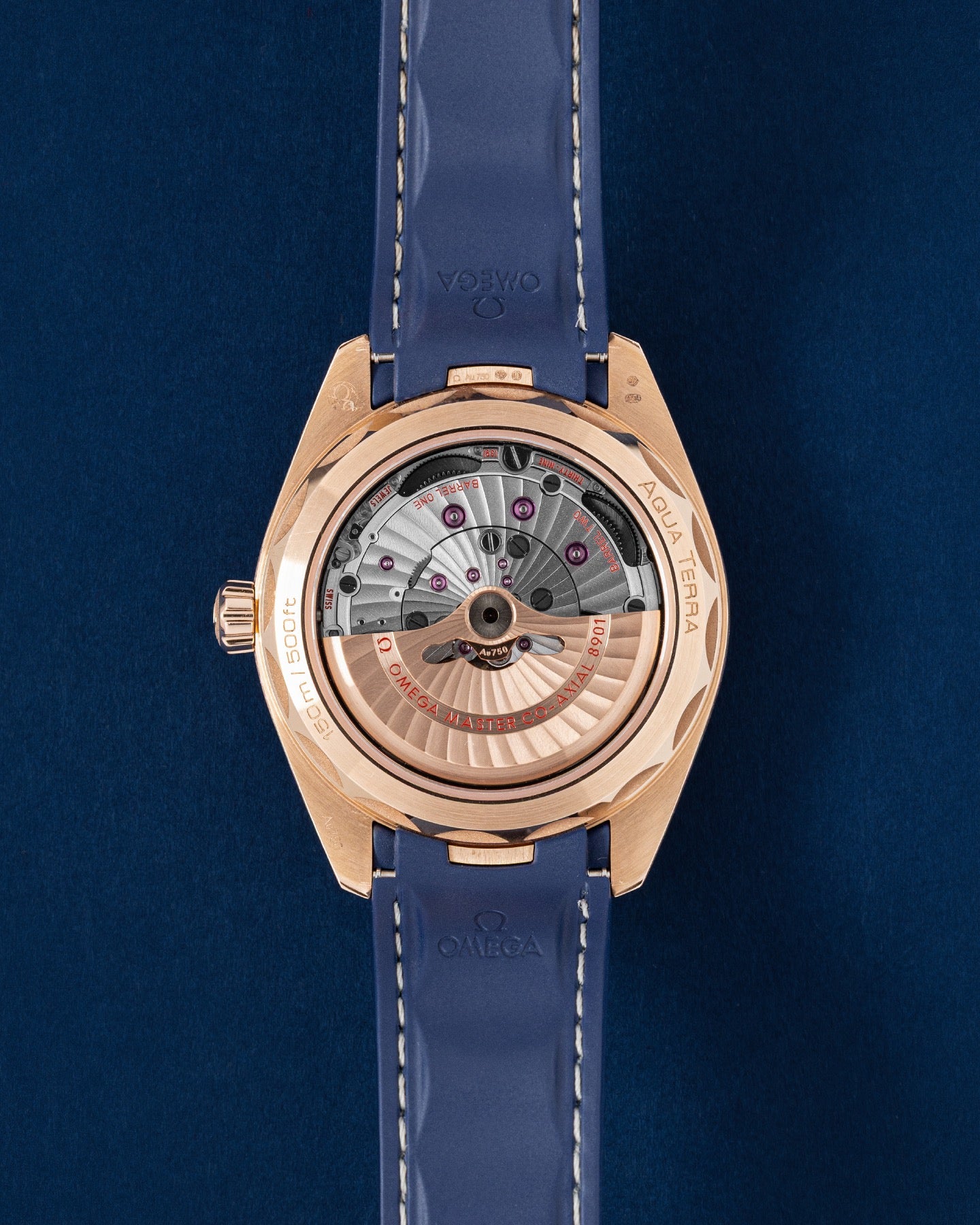 Omega Seamaster Aqua Terra Master Chronometer 220.52.41.21.03.001