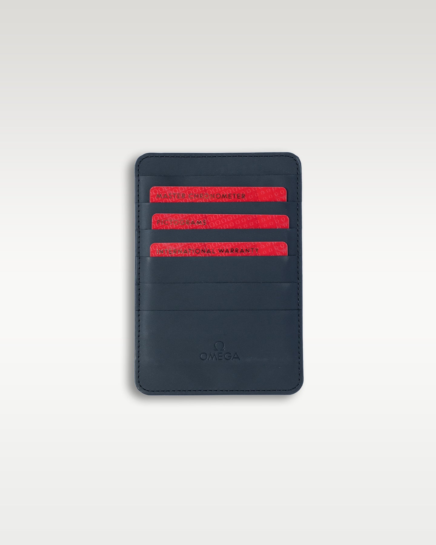 Omega Seamaster James Bond 210.22.42.20.01.004 at Grand Caliber | Omega Dallas