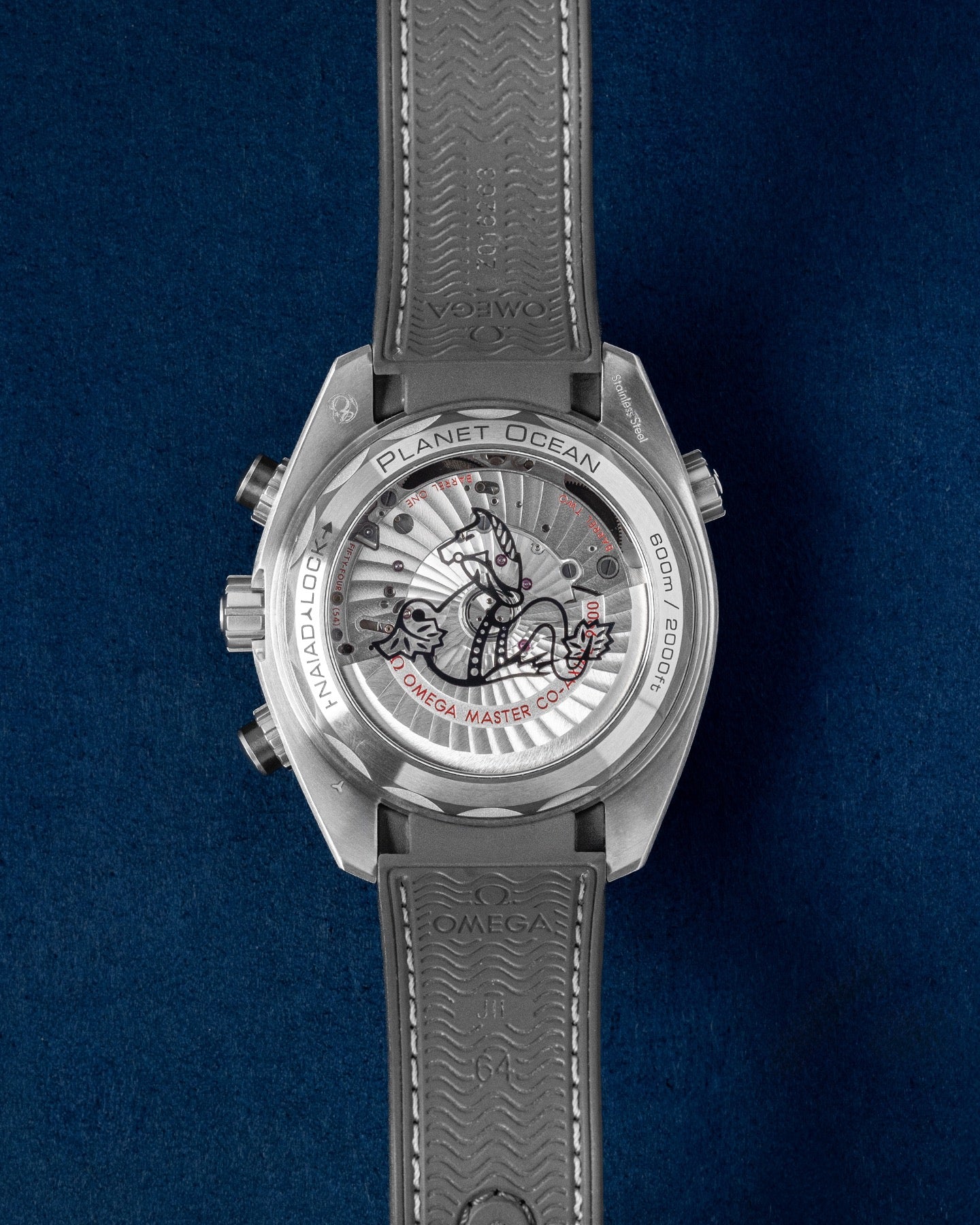 Omega Seamaster Planet Ocean 600M 21532465101004 | Grand Caliber Dallas