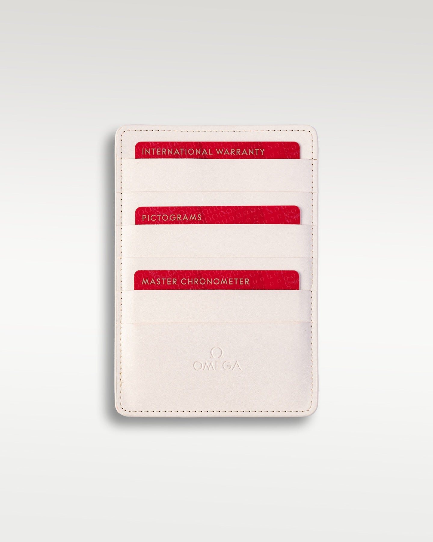 Omega Seamaster Planet Ocean 600M 21532465101004 | Grand Caliber Dallas