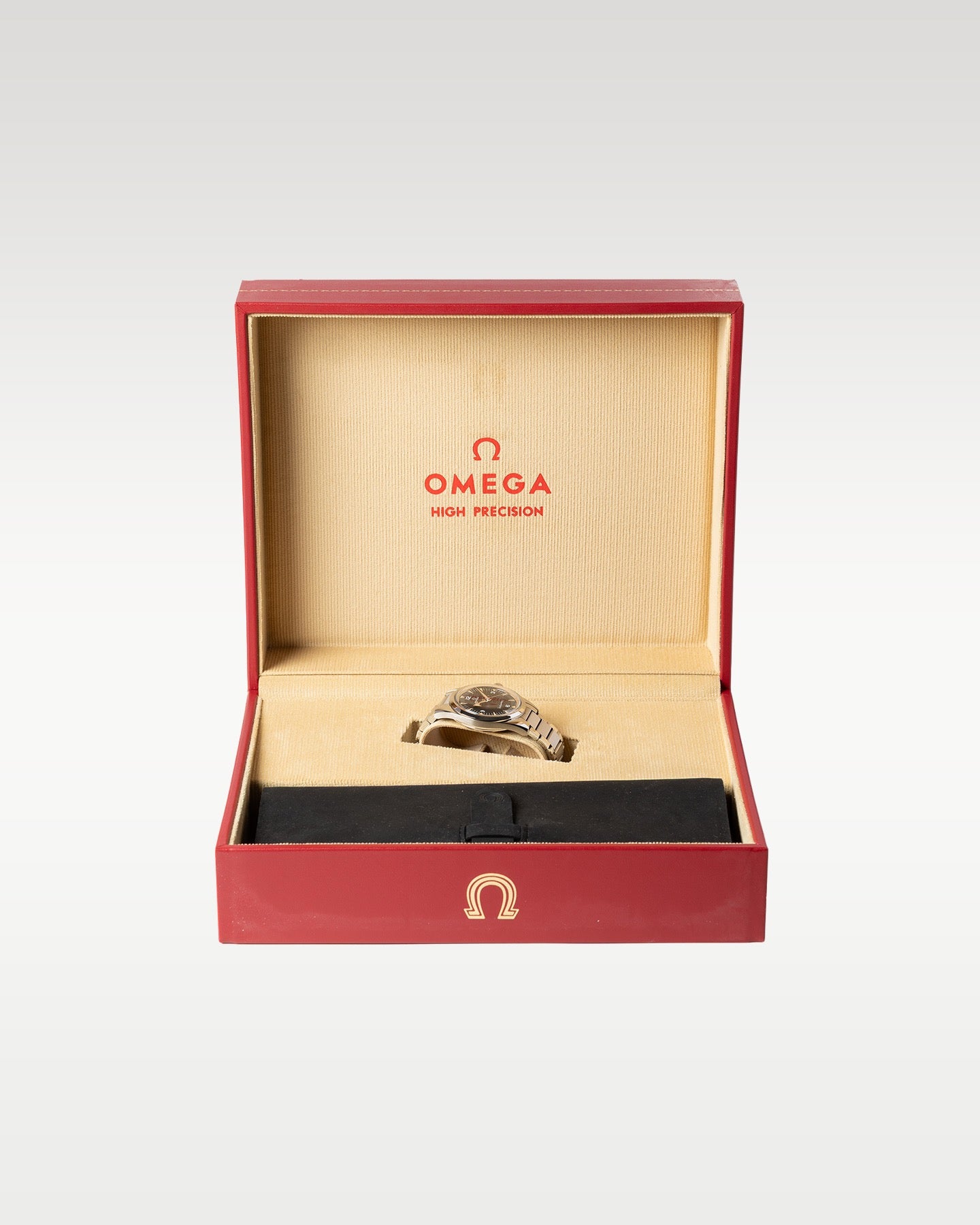Omega Seamaster Railmaster 38 220.10.38.20.01.002 | Grand Caliber