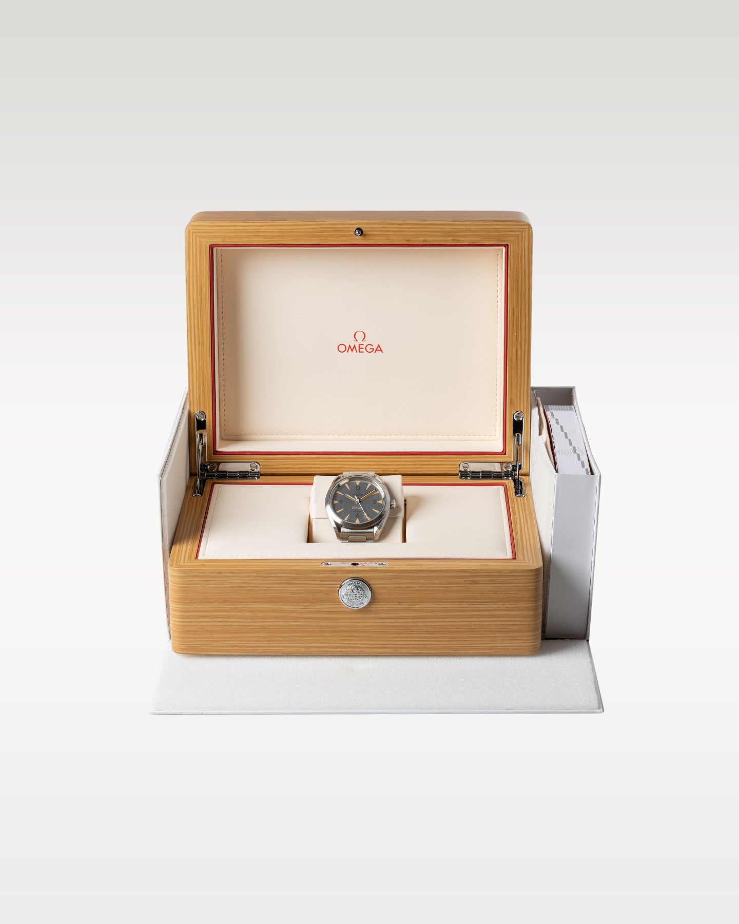 silver dial Omega Seamaster Railmaster 220.10.40.20.06.001 | Grand Caliber USA