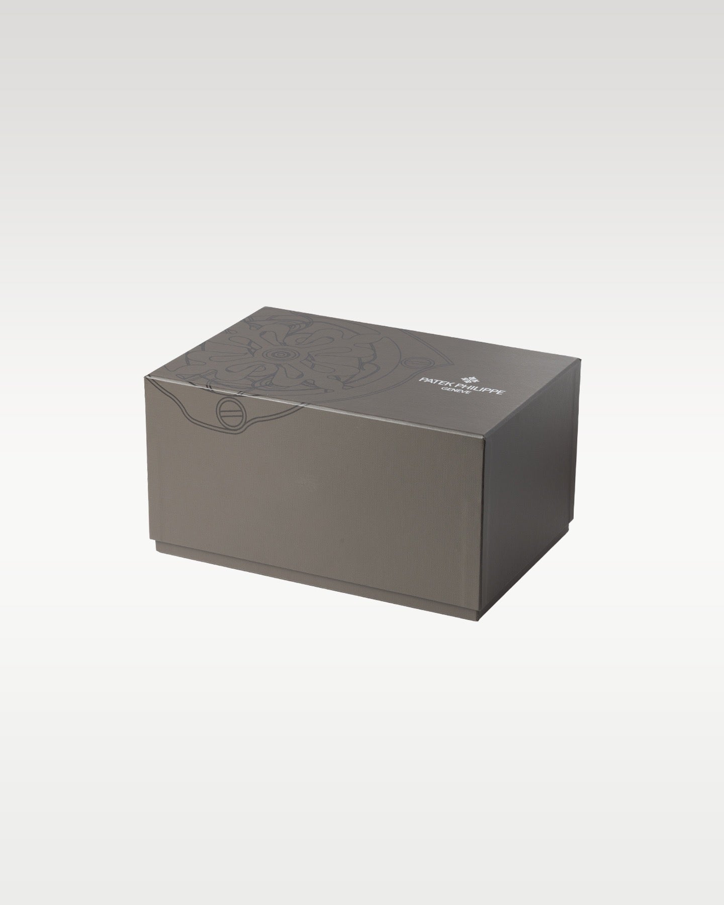 Patek Philippe Calatrava Pilot Travel Time 5524R-001