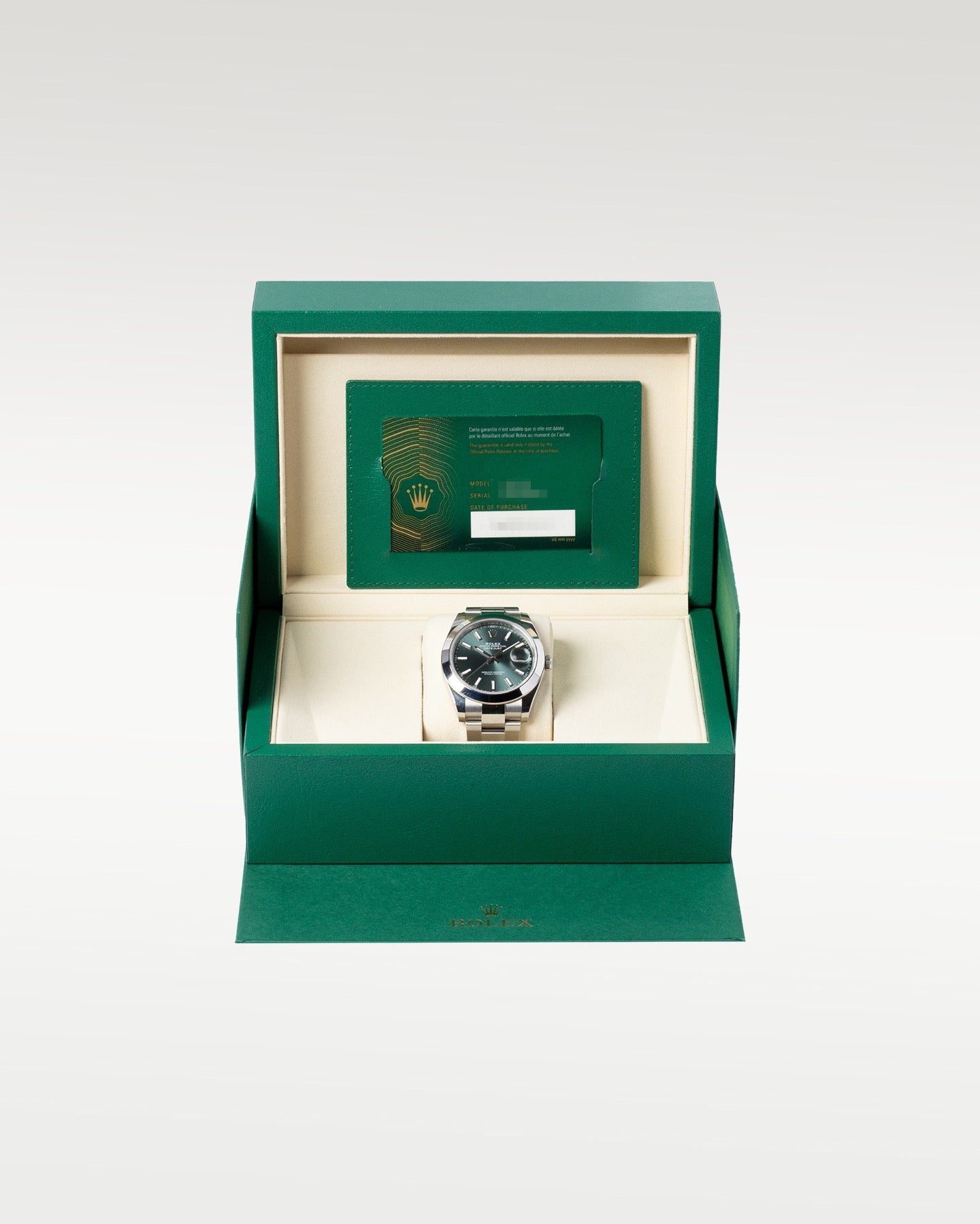 Mint Green Index Rolex Datejust 126300 | Grand Caliber Dallas, Texas