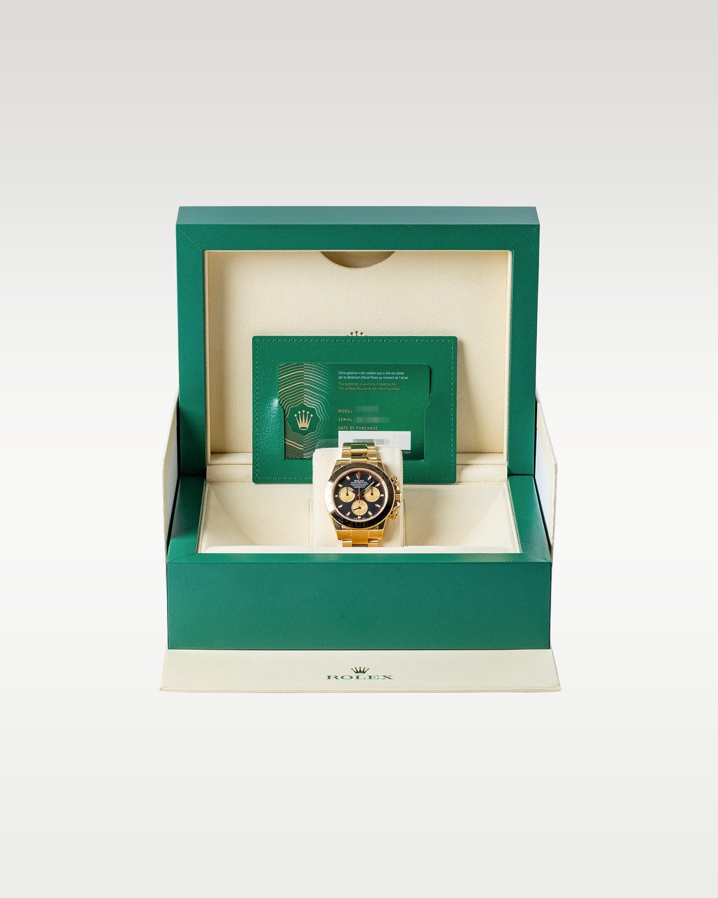 Paul Newman Dial Rolex Daytona 116508 | Grand Caliber Watches