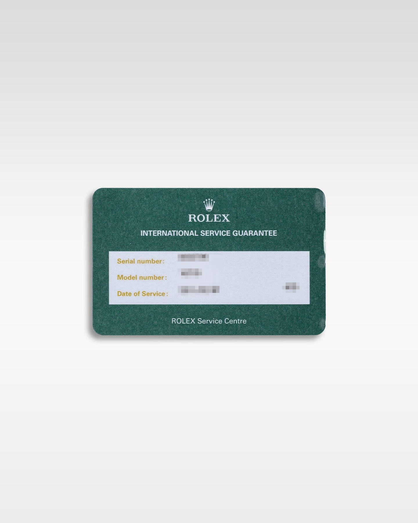 Rolex GMT Master II 16710