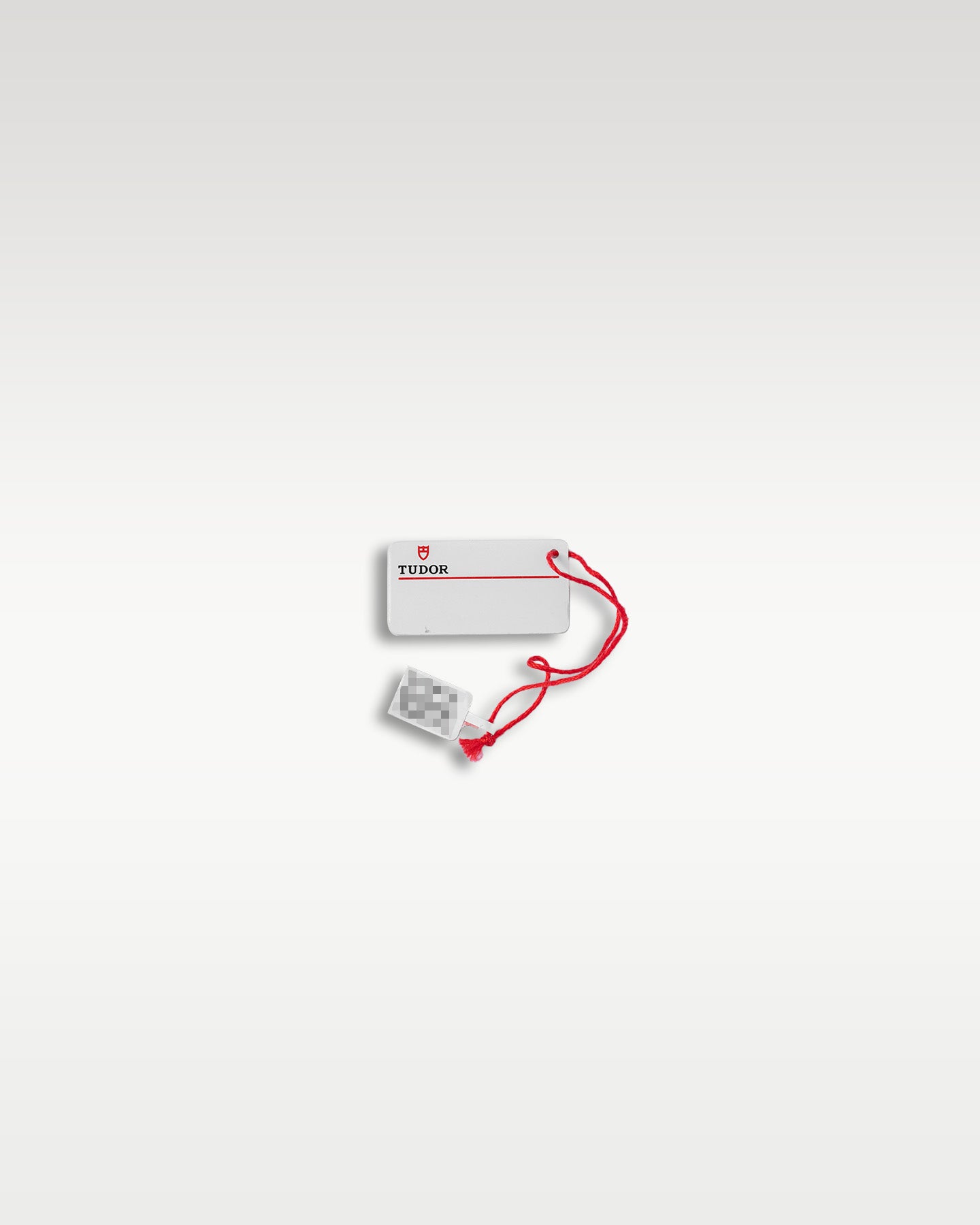 2024 Black Tudor Black Bay 54 79000N Watch | Grand Caliber Dallas