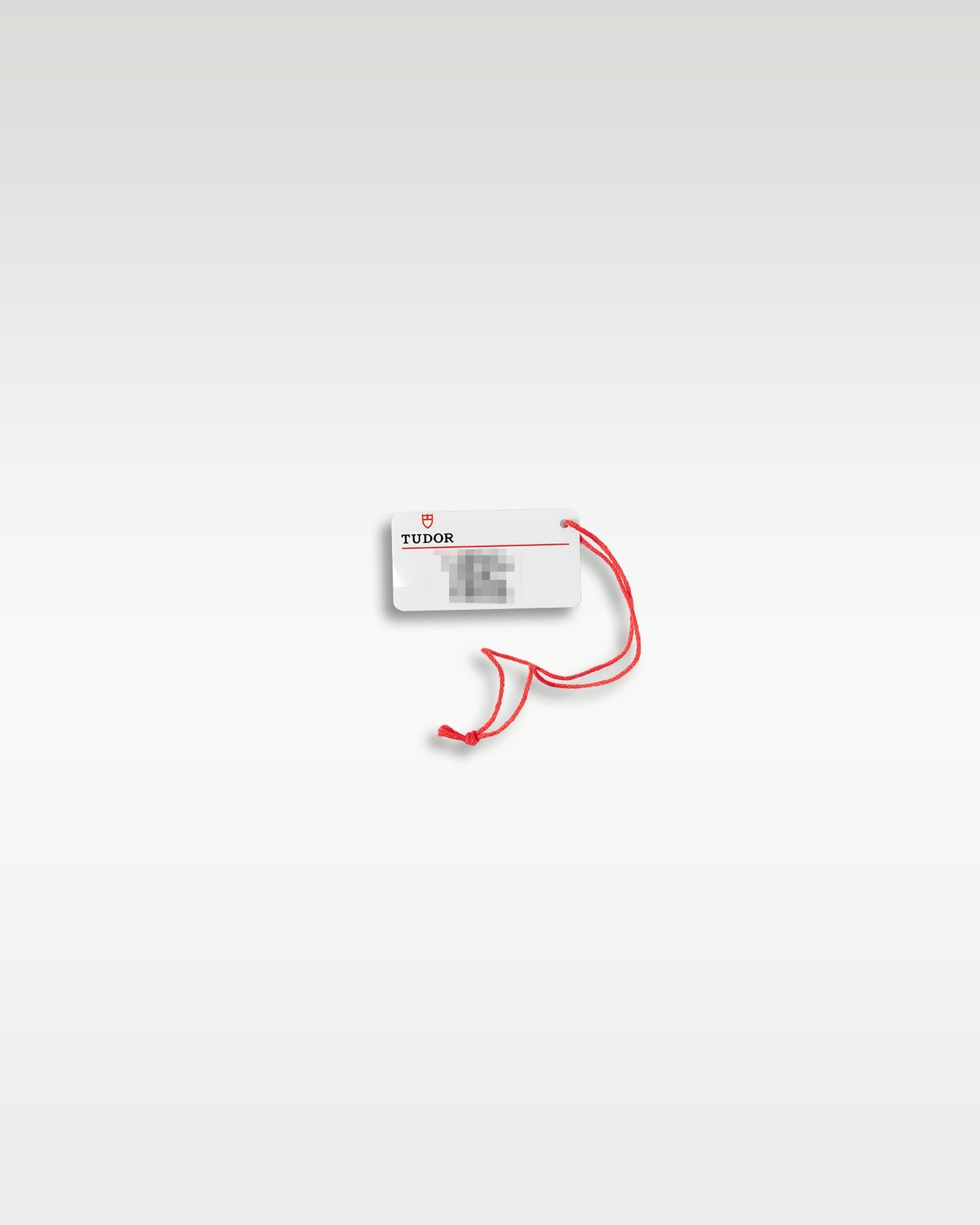 Tudor Black Bay 58 7939A1A0RU