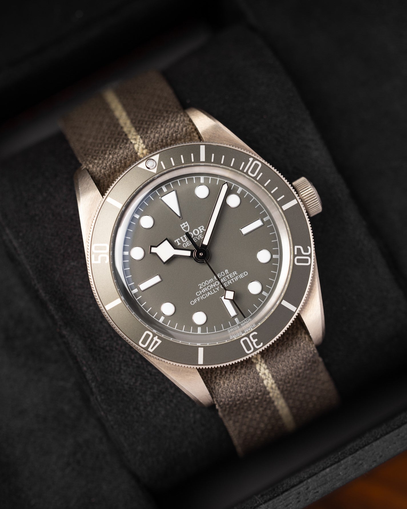Tudor Black Bay 58 925 79010SG