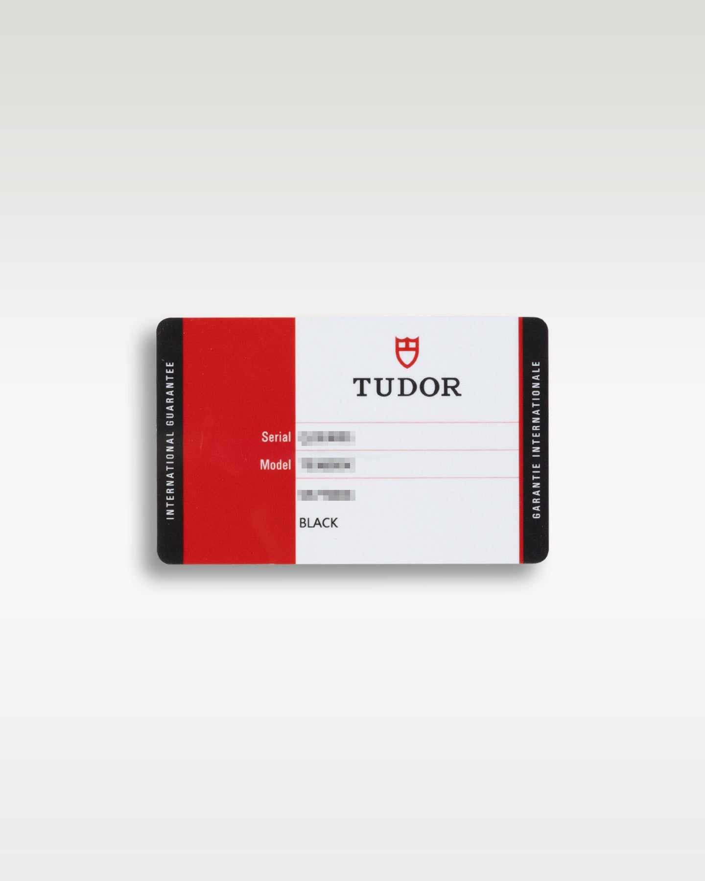 2015 Tudor Black Bay 41 79220B | Grand Caliber Watches