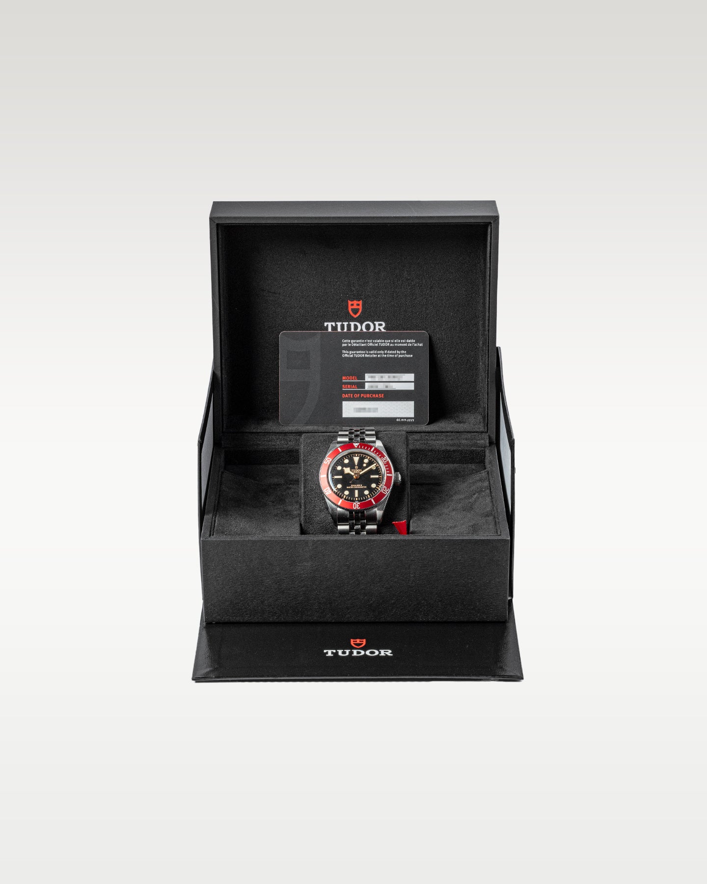 2023 Steel Tudor Black Bay 7941A1A0RU Watch | Grand Caliber Dallas