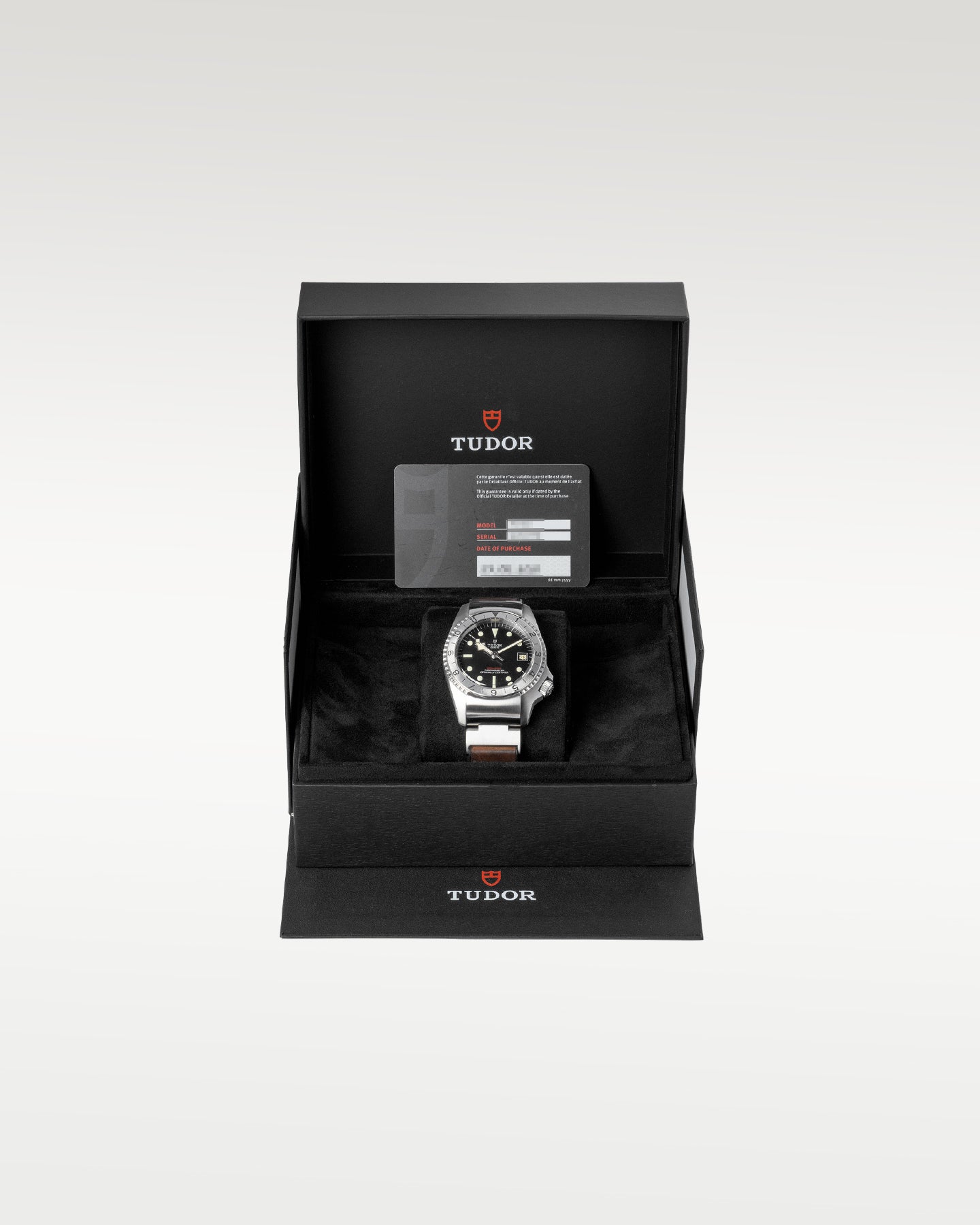 Tudor Black Bay Heritage P01 70150-0001
