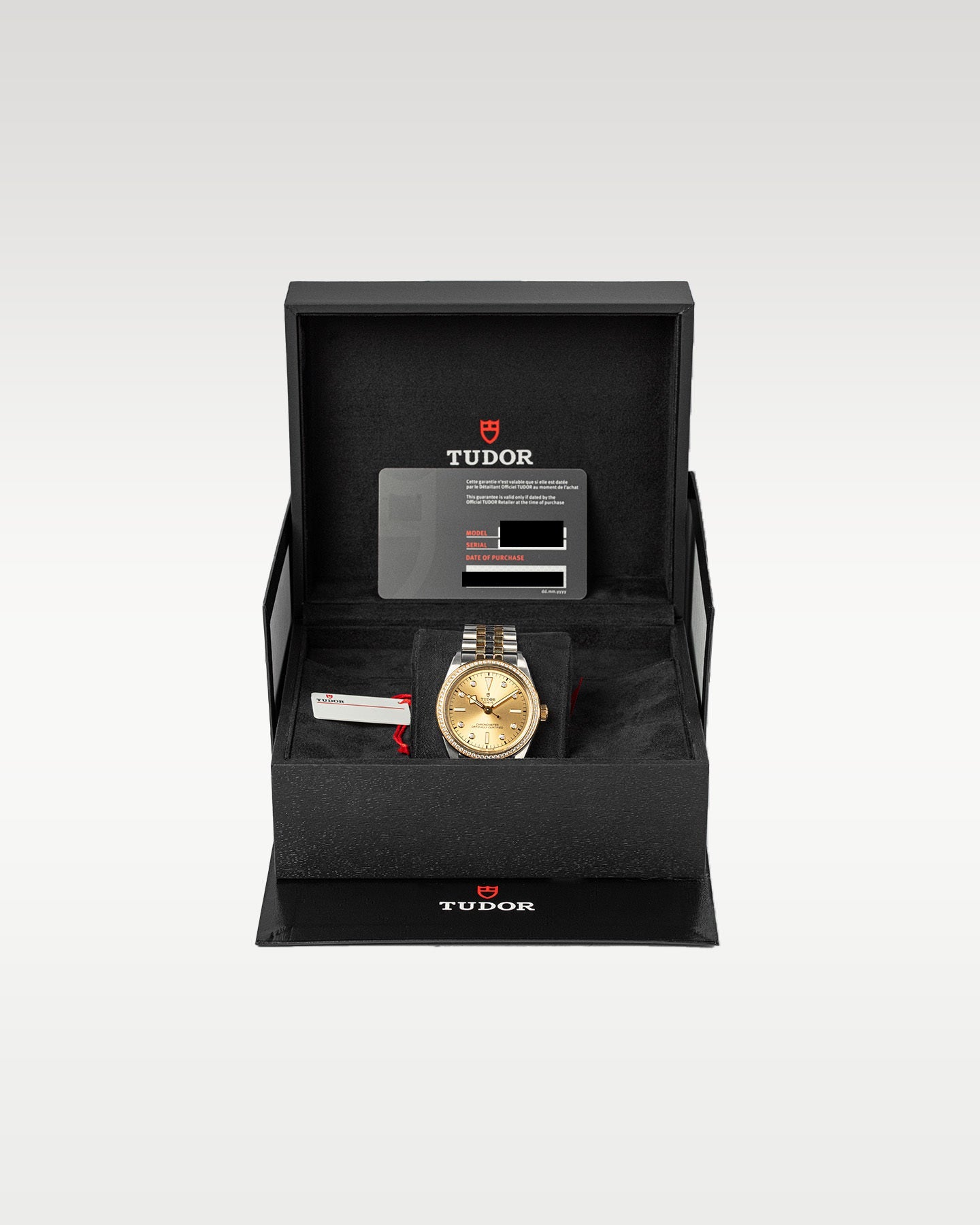 Tudor Black Bay S&G 79673