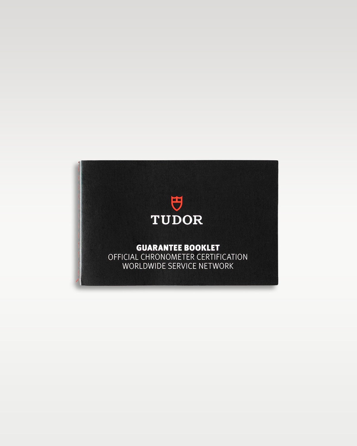 Tudor Black Bay Steel Heritage 79730