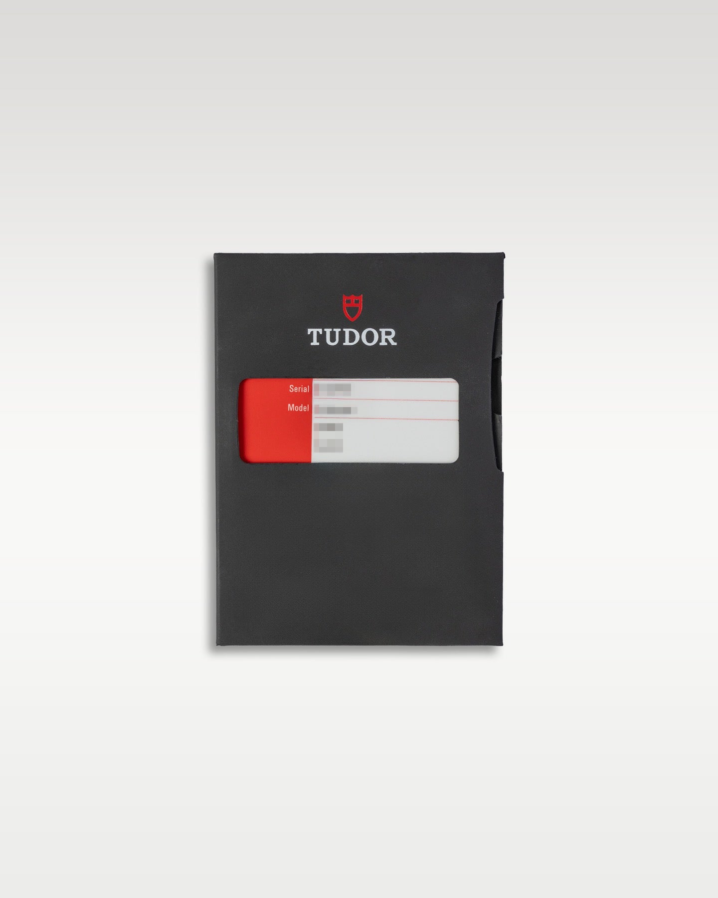 Tudor Heritage Black Bay 79220N