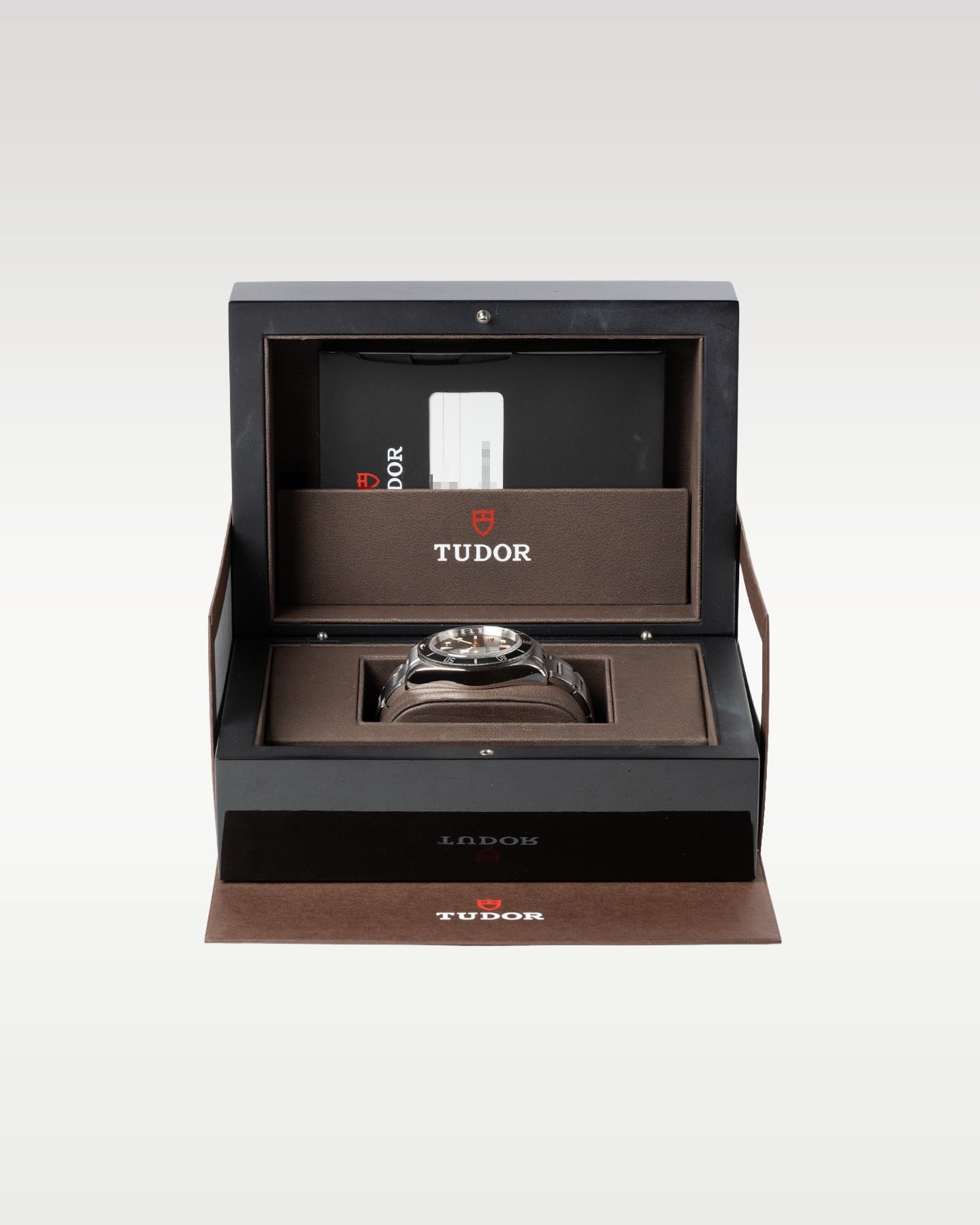 Tudor Heritage Black Bay 79220N