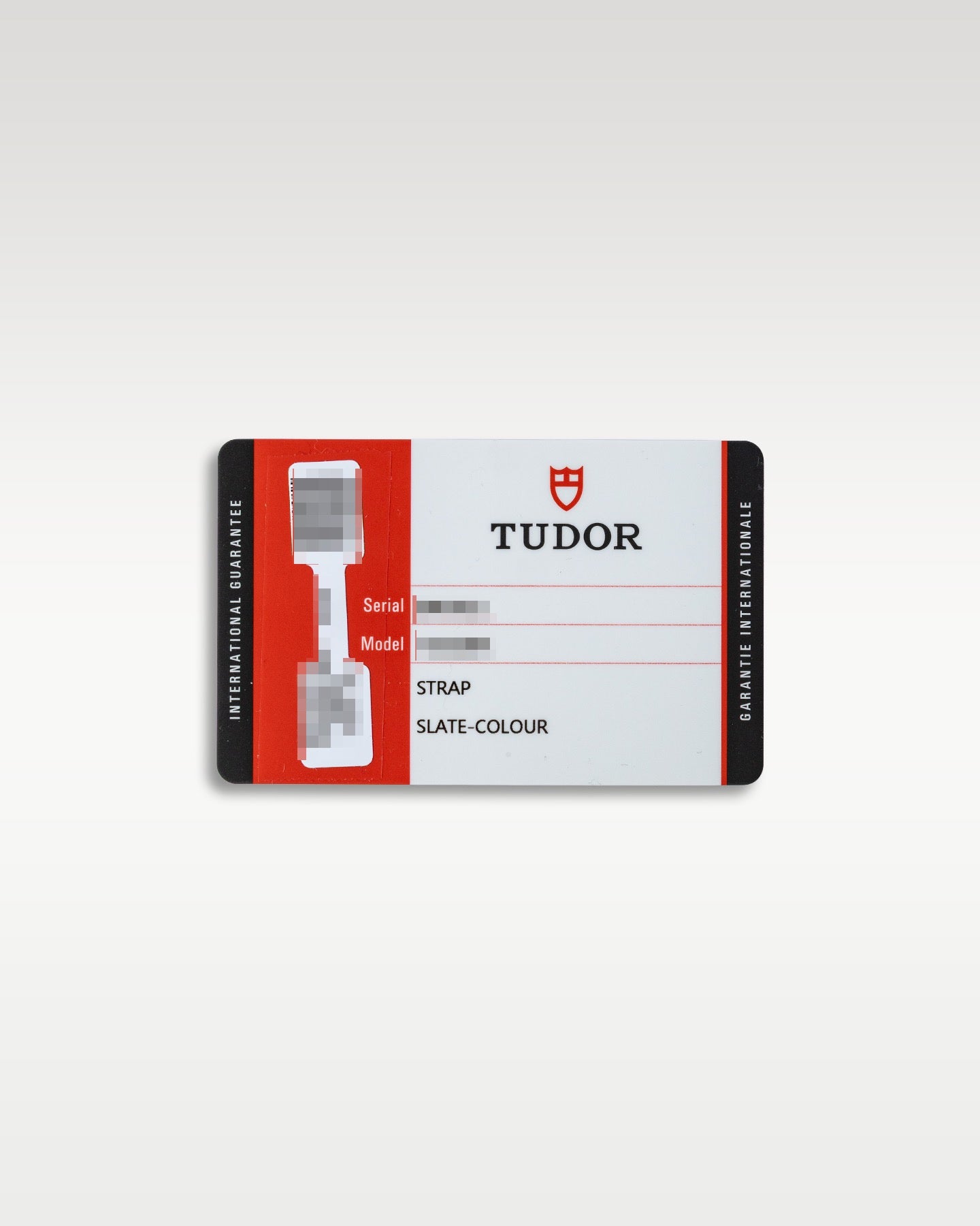 Bronze Tudor Heritage Black Bay 79250BA-0001 | Grand Caliber DFW, Texas