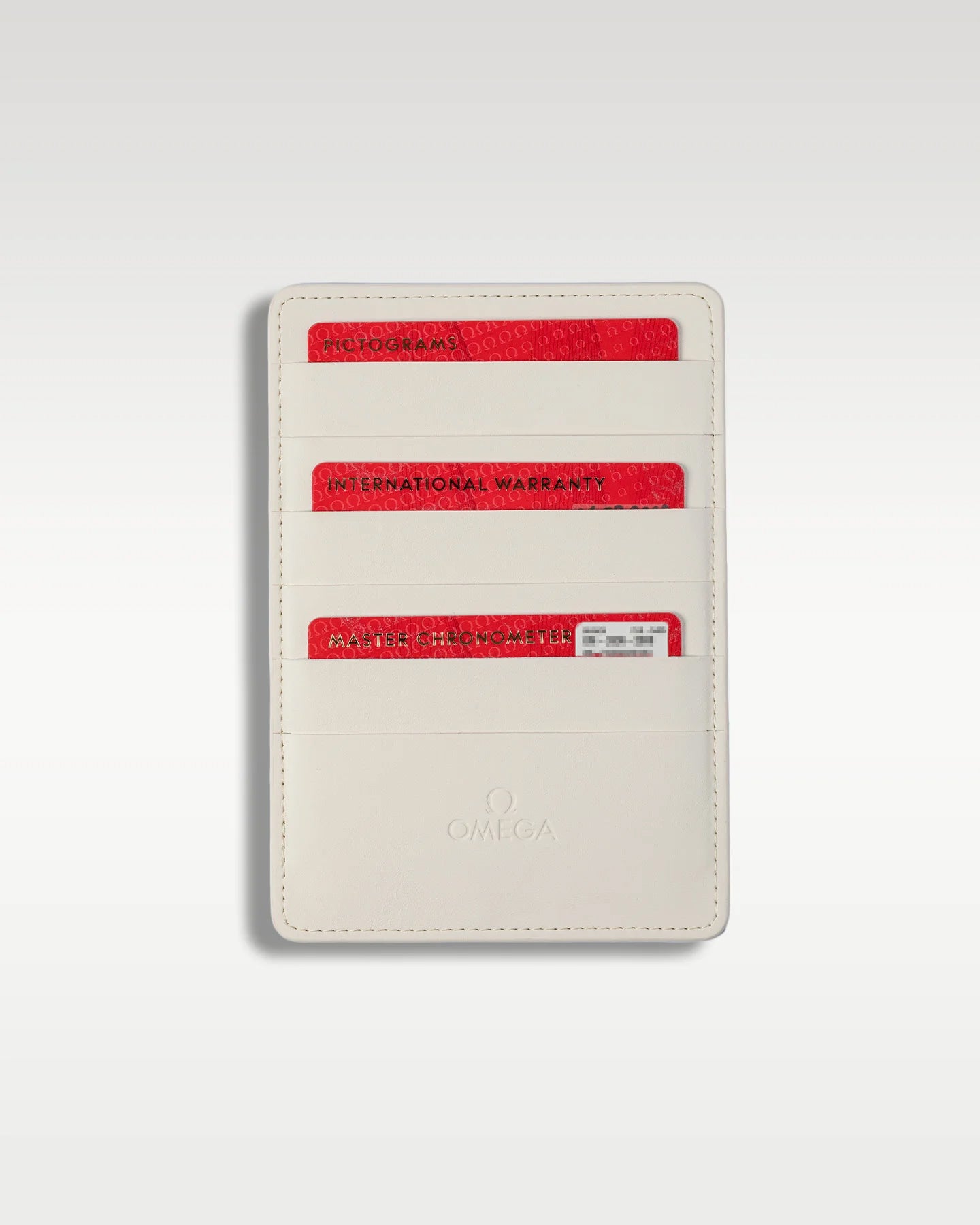 Omega Seamaster 210.32.42.20.01.001